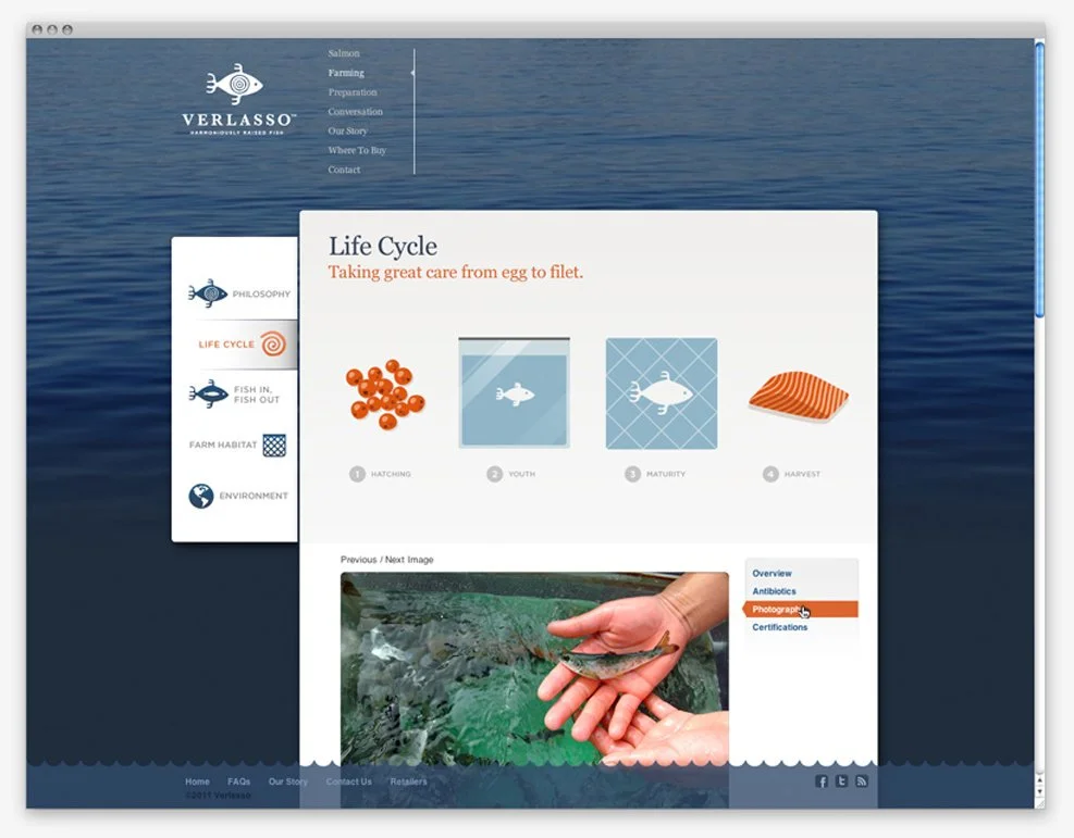 Web page about the salmon life cycle with stages: hatching, youth, maturity, harvest, and a photo of a person holding a fish.