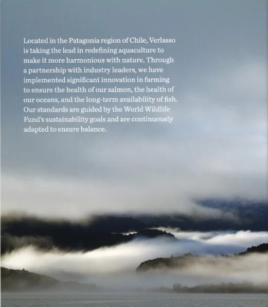 Text overlay on a foggy mountain landscape background discussing Verlasso's sustainable aquaculture efforts in Patagonia, Chile.