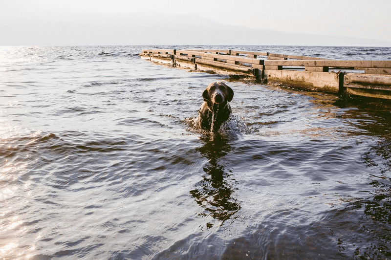 Meika May Silver Lake.gif