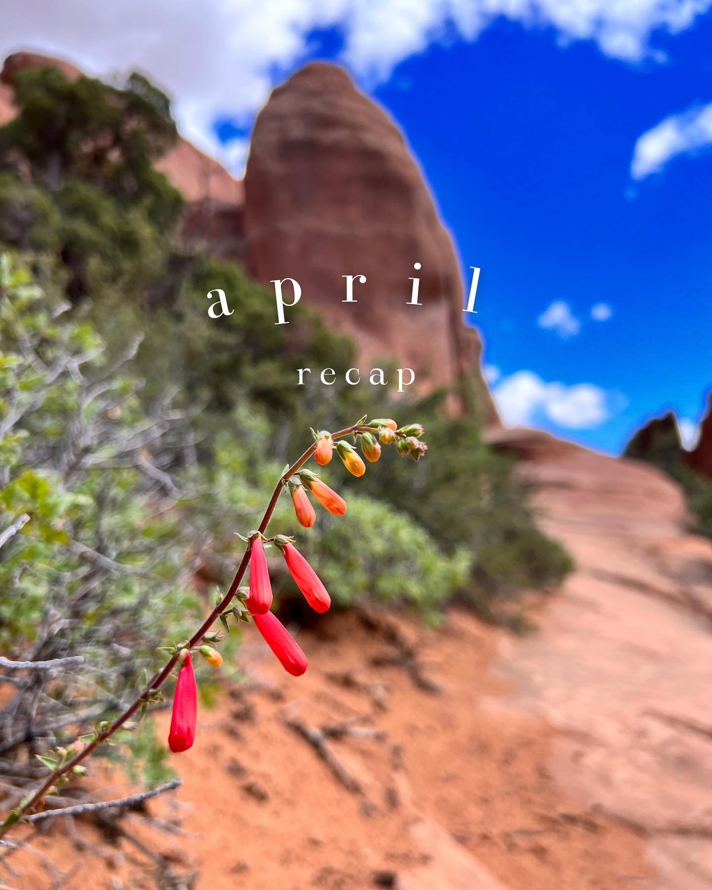 my APRIL RECAP 🌧️ 

Every month I reflect on what I&rsquo;ve done, where I&rsquo;ve been, what my goals are for next month, and enjoy posting the pictures that haven&rsquo;t seen the feed yet!

Hikes:
Malans Peak
Flag Rock
Industrial Arch
Frary Peak
