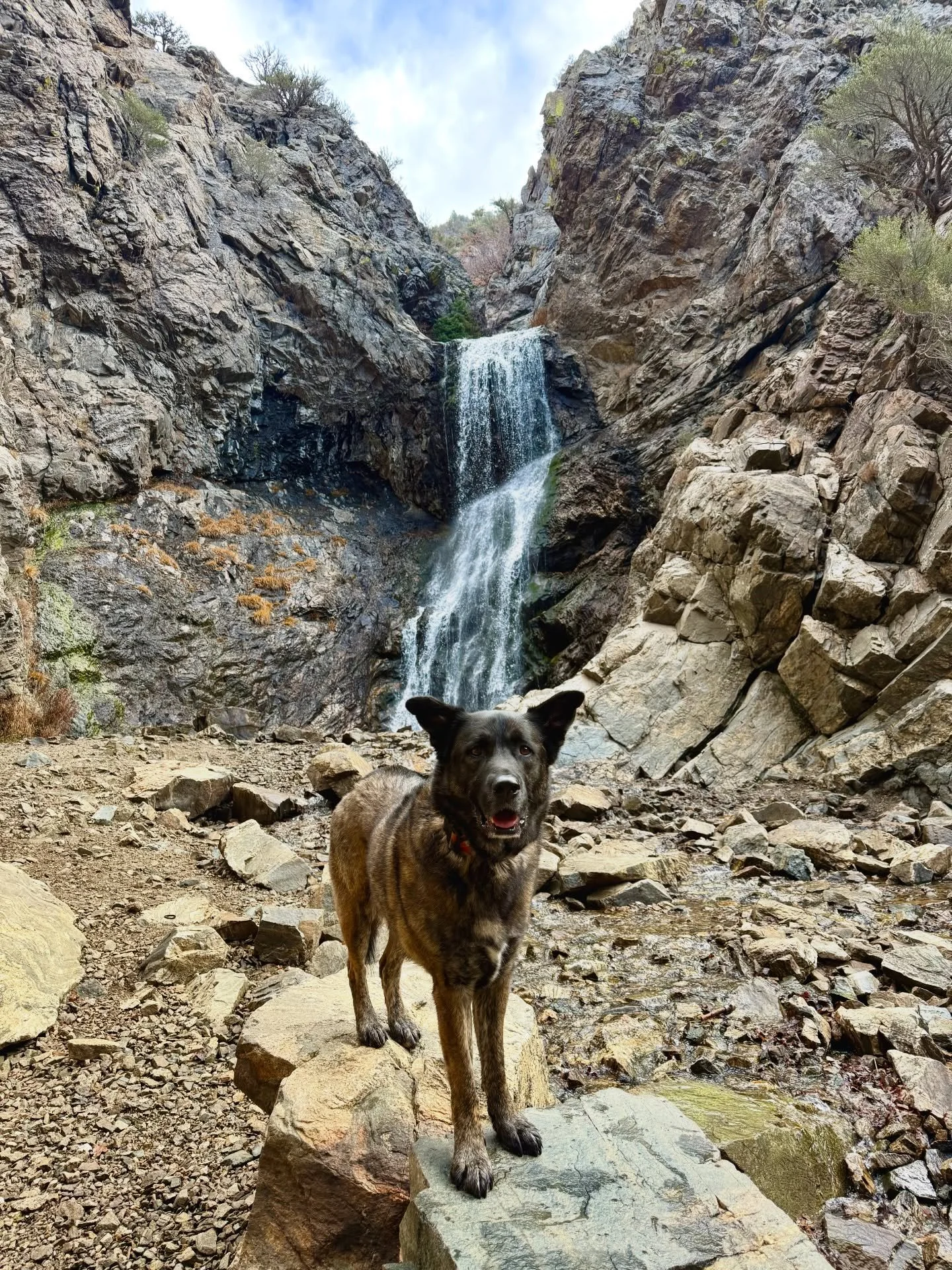 Happy Saturday from Kenai! 
Adams Canyon is such a great hike in every season, although winter is my favorite. I love when the trail is full of ice as it makes for a great run down&mdash;super smooth without the rocks and bigger steps once they&rsquo