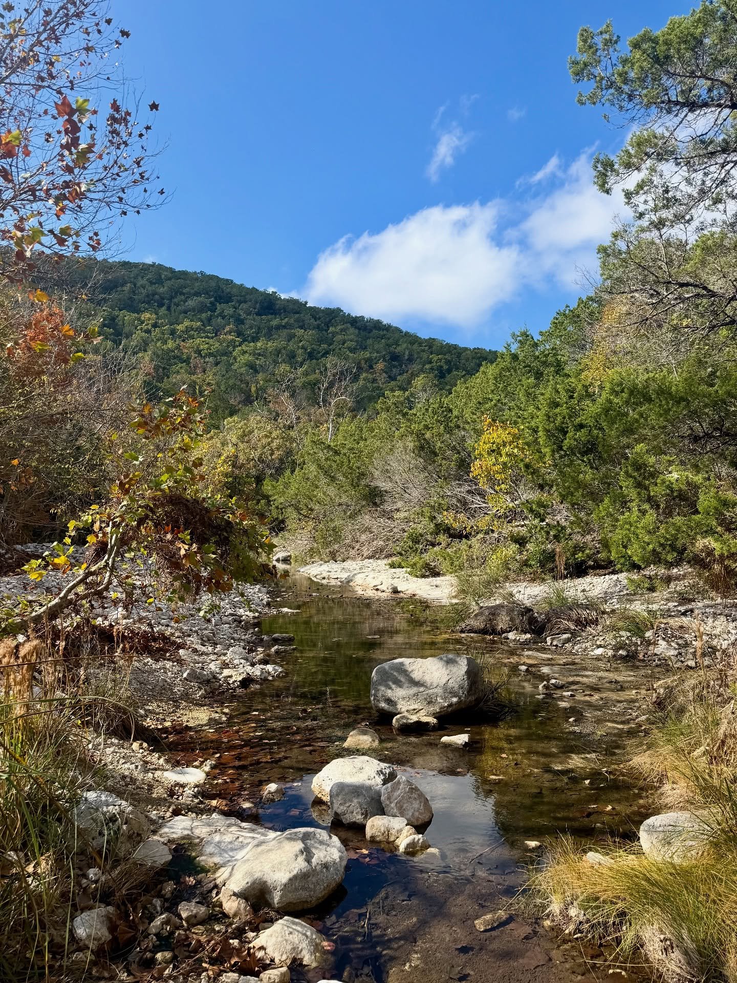 hiking in texas: Lost Maples State Natural Area outside of San Antonio 🍁

I visited my sister last weekend who lives right outside of San Antone, of course we had to explore some nature on our trip. She picked this State Park which is 2 hours northw