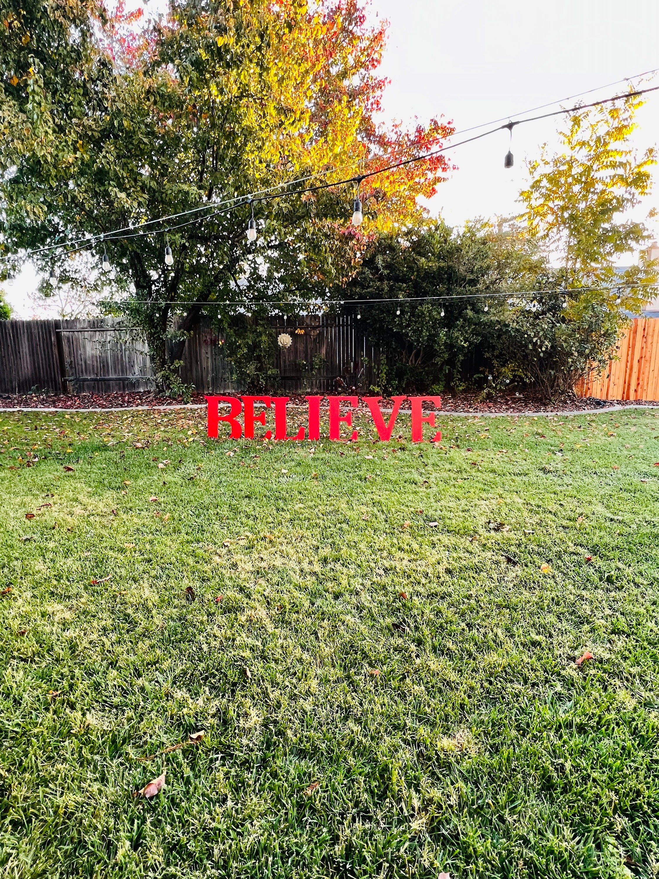 https://i.etsystatic.com/7206865/r/il/e8e654/5548782026/il_fullxfull.5548782026_cmlm.jpg