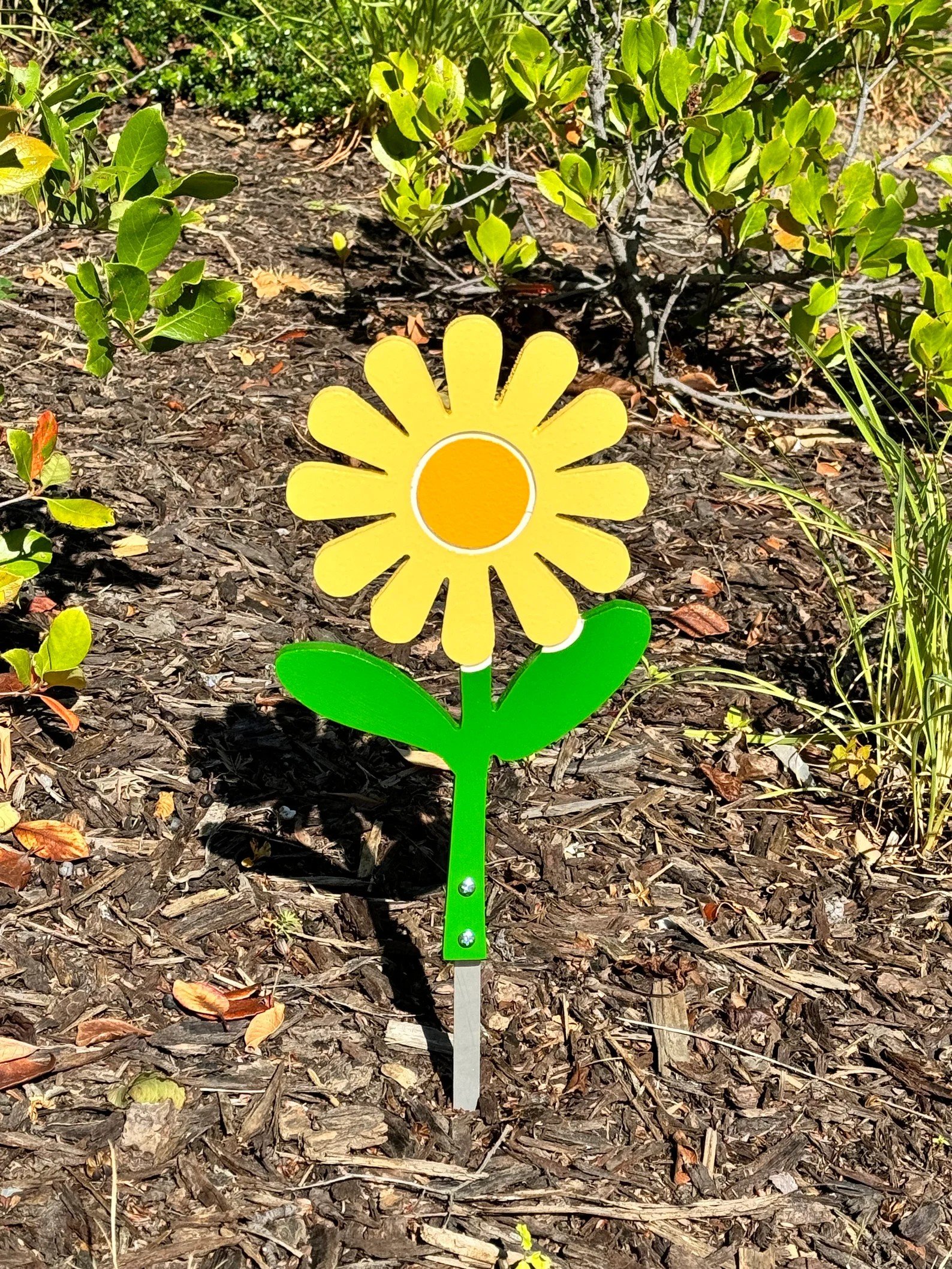Flower Daisy.jpeg