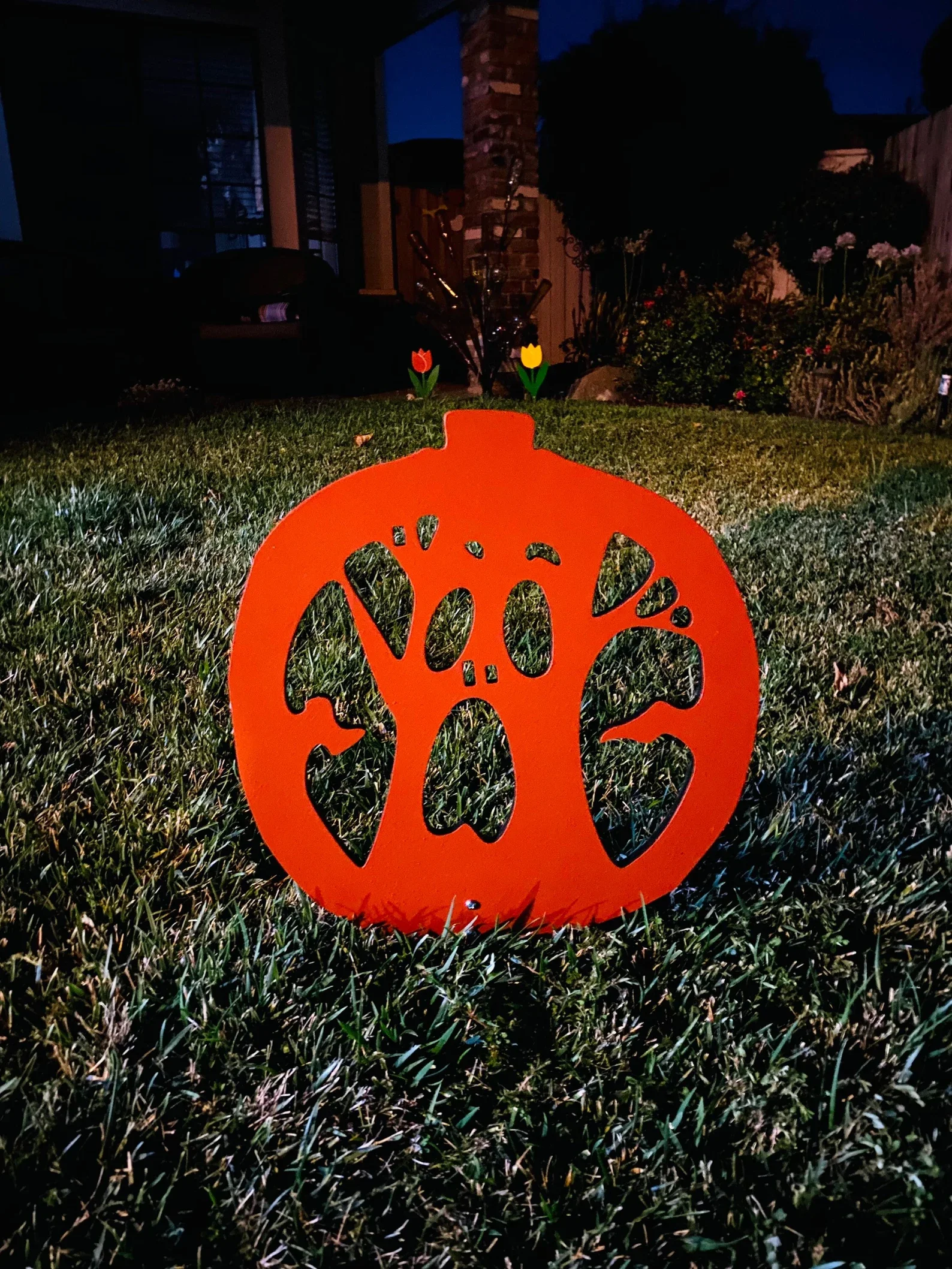 Tree Pumpkin.webp