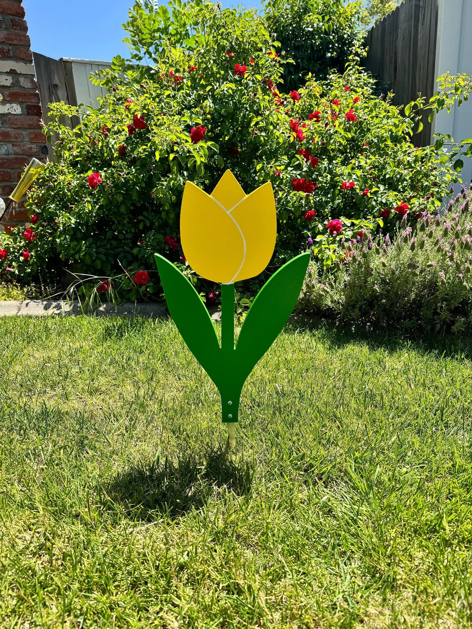 Flower Tulip.jpeg