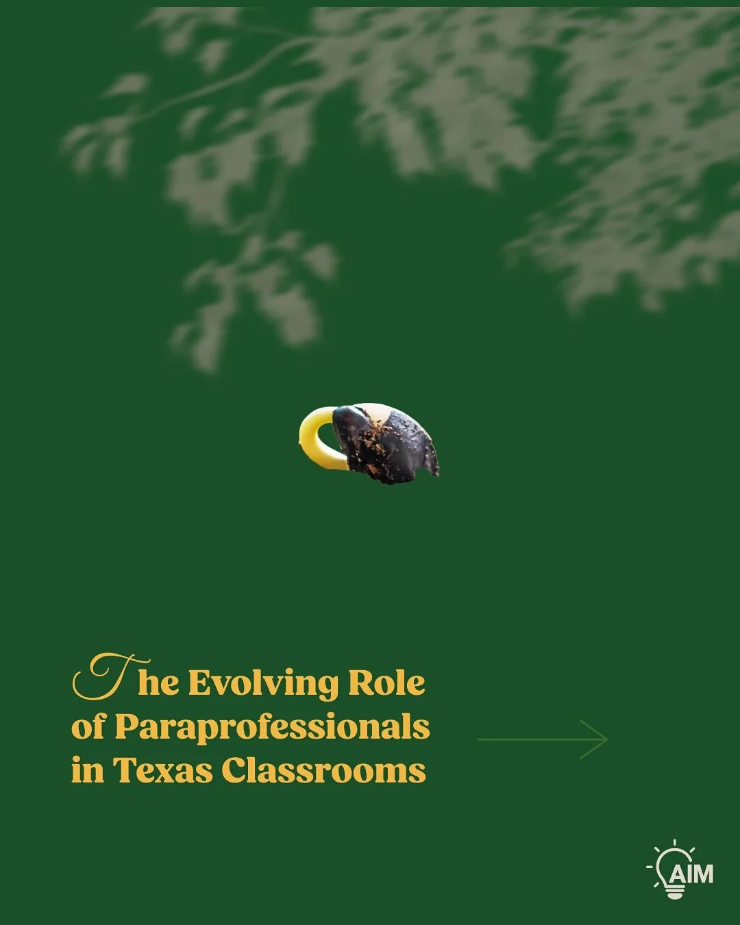 Education is evolving—and so are the roles that shape it. 🌱
Paraprofessionals are no longer just “extra hands” in the classroom.
They are vital partners, helping students thrive through individualized support, inclusive practices