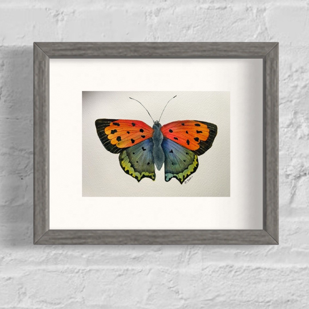 Plastered Wings 5 x 7 Watercolor