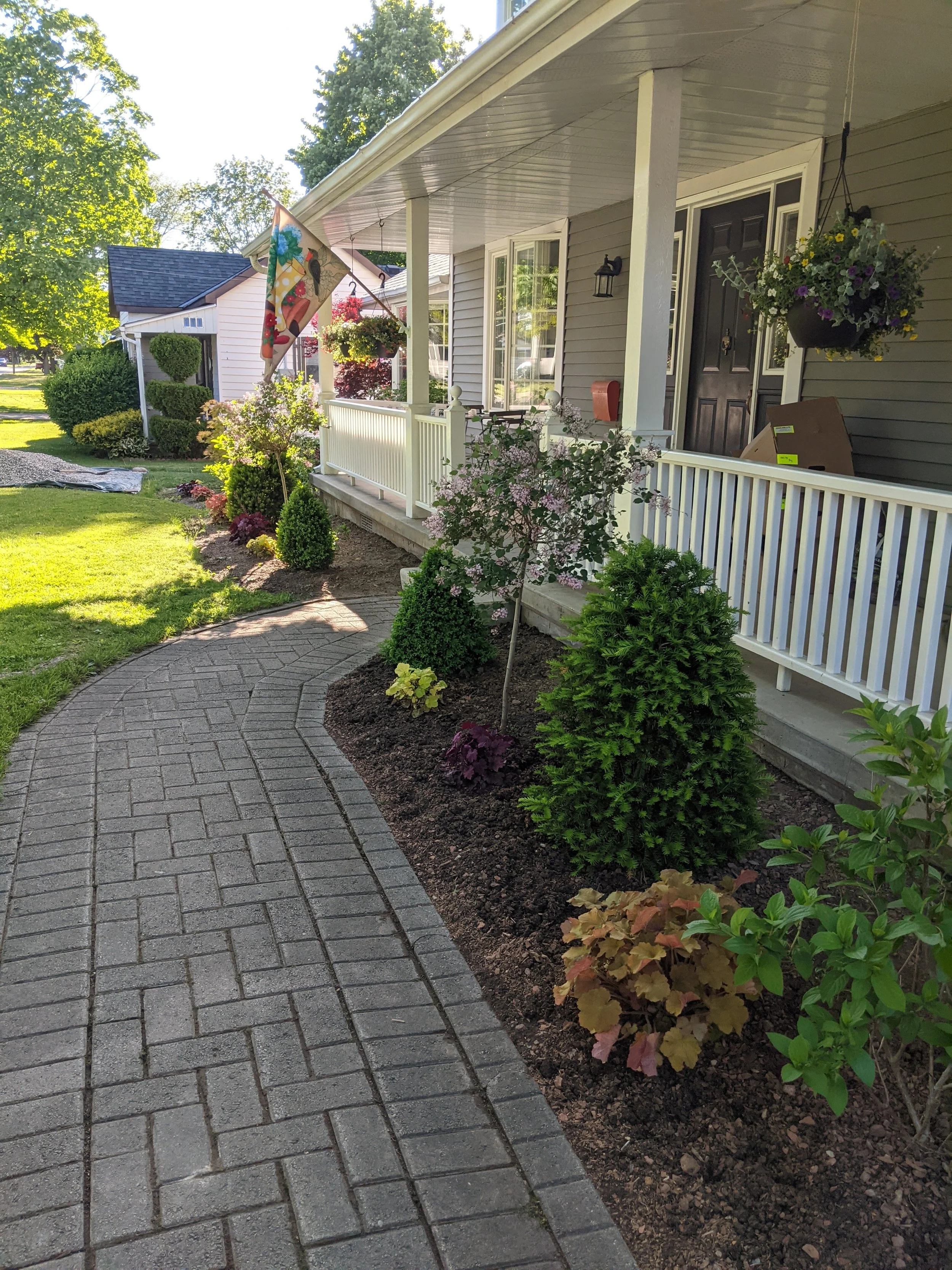 front yard.jpg