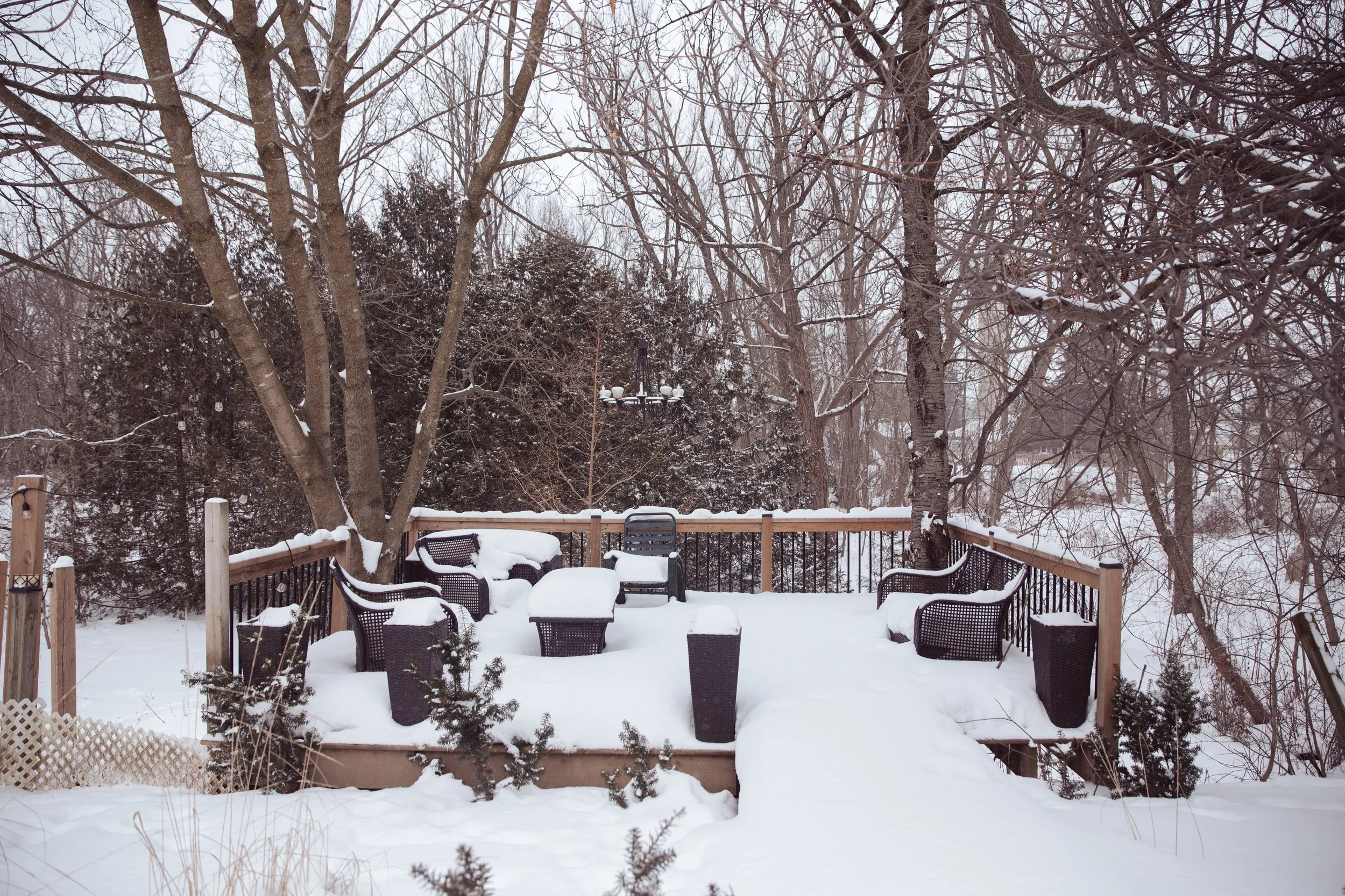 our home winter7.jpg