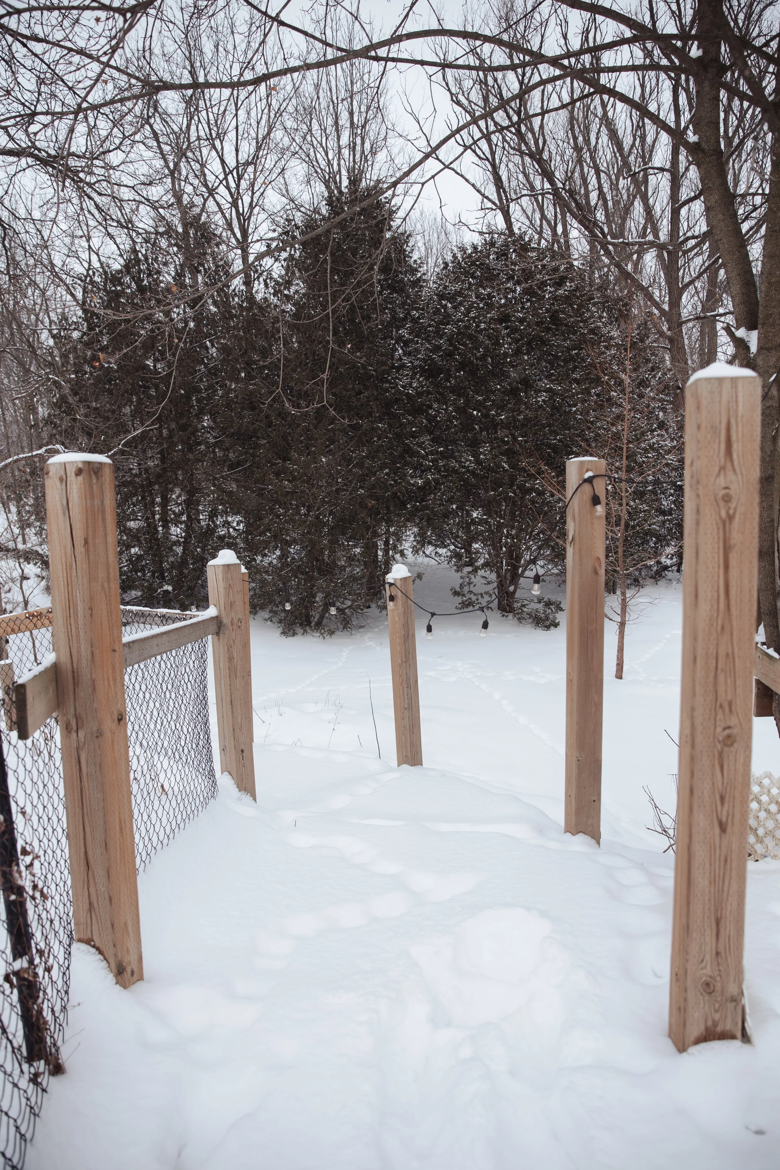 our home winter10.jpg