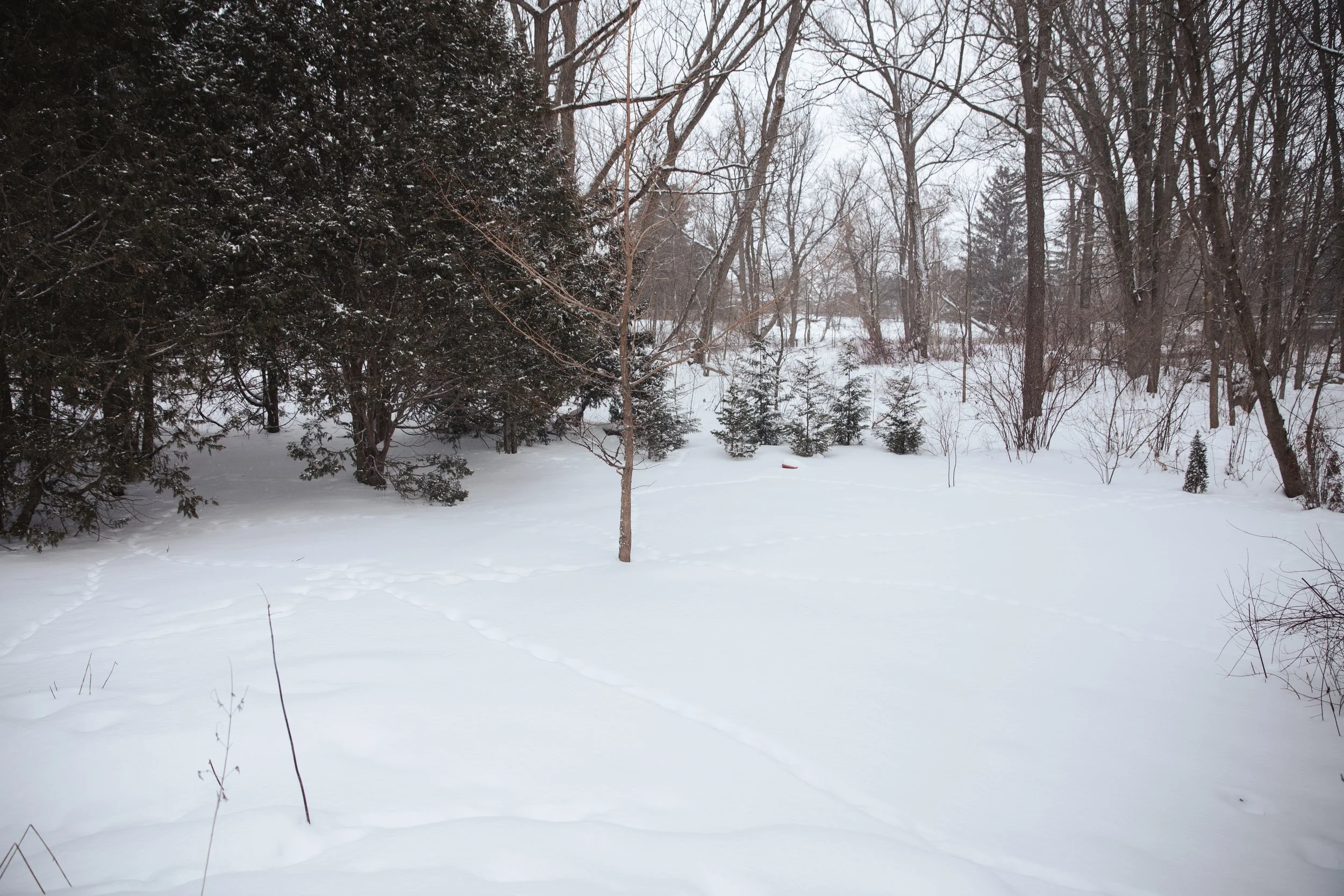 our home winter11.jpg