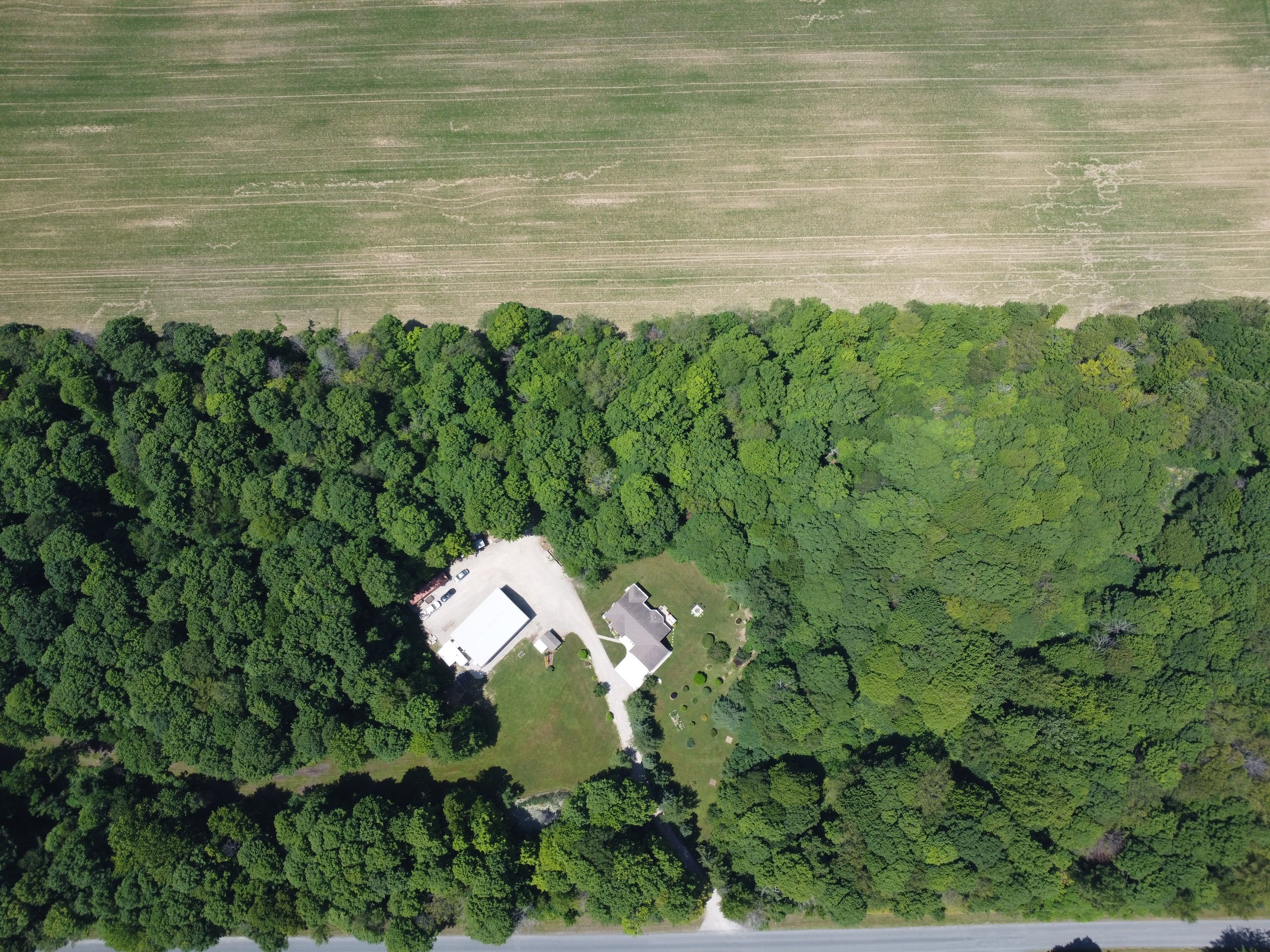 DJI_0206.JPG