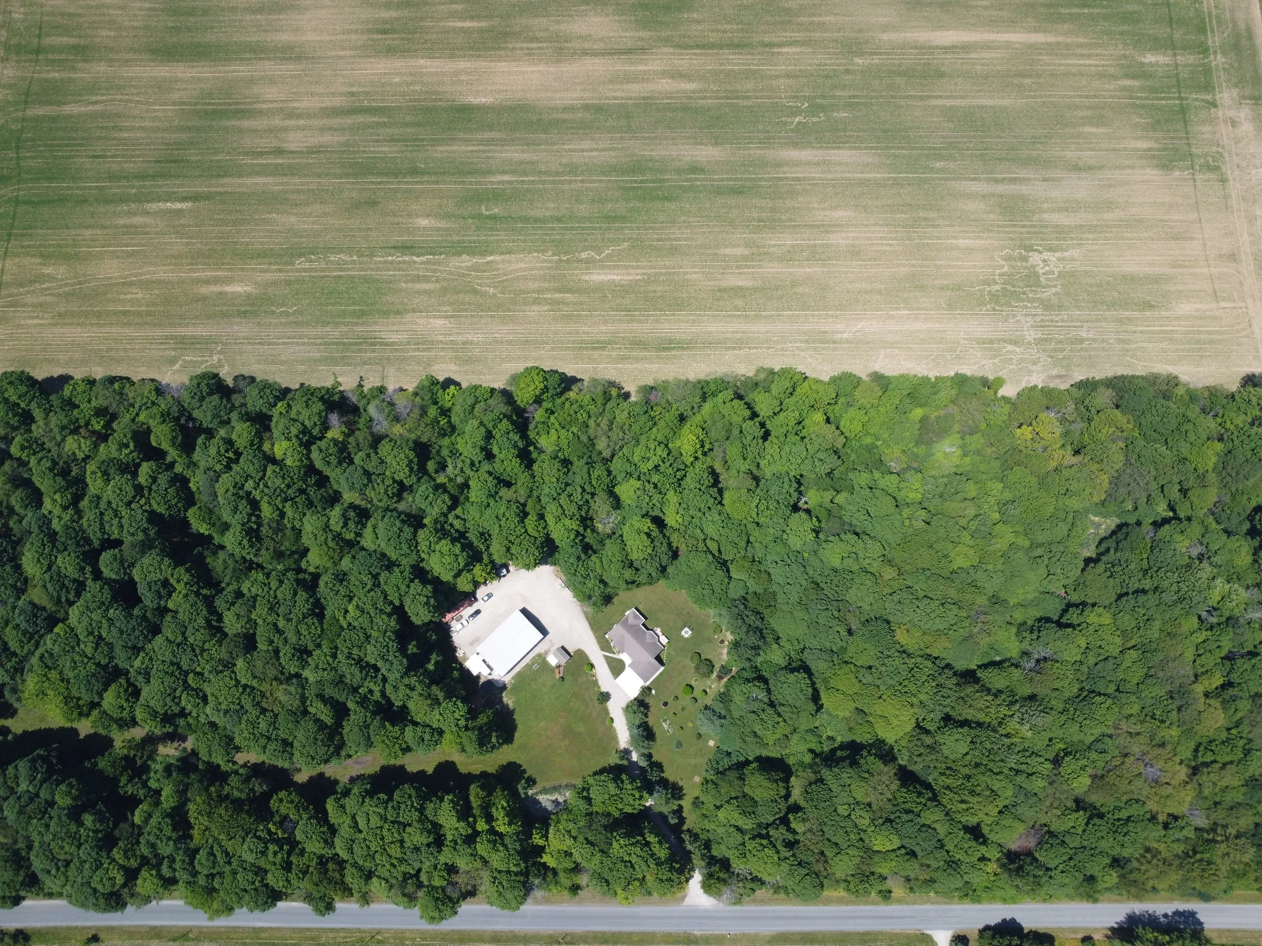 DJI_0205.JPG