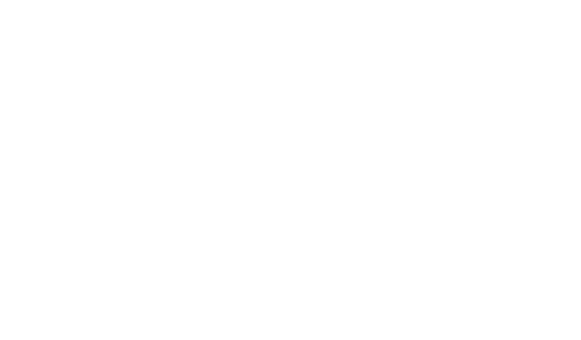 Playworks white.png