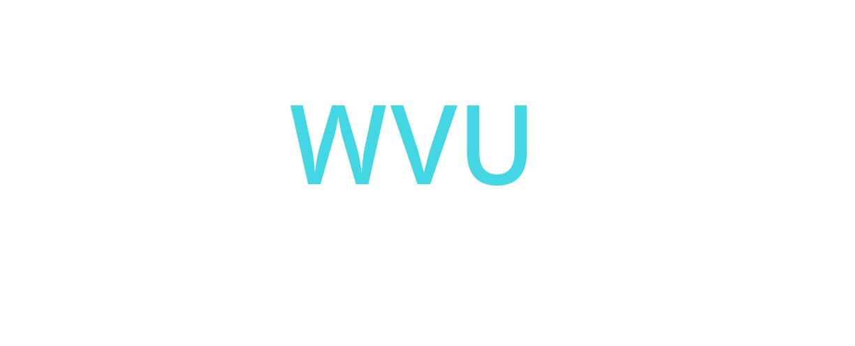 World Ventures Unlimited