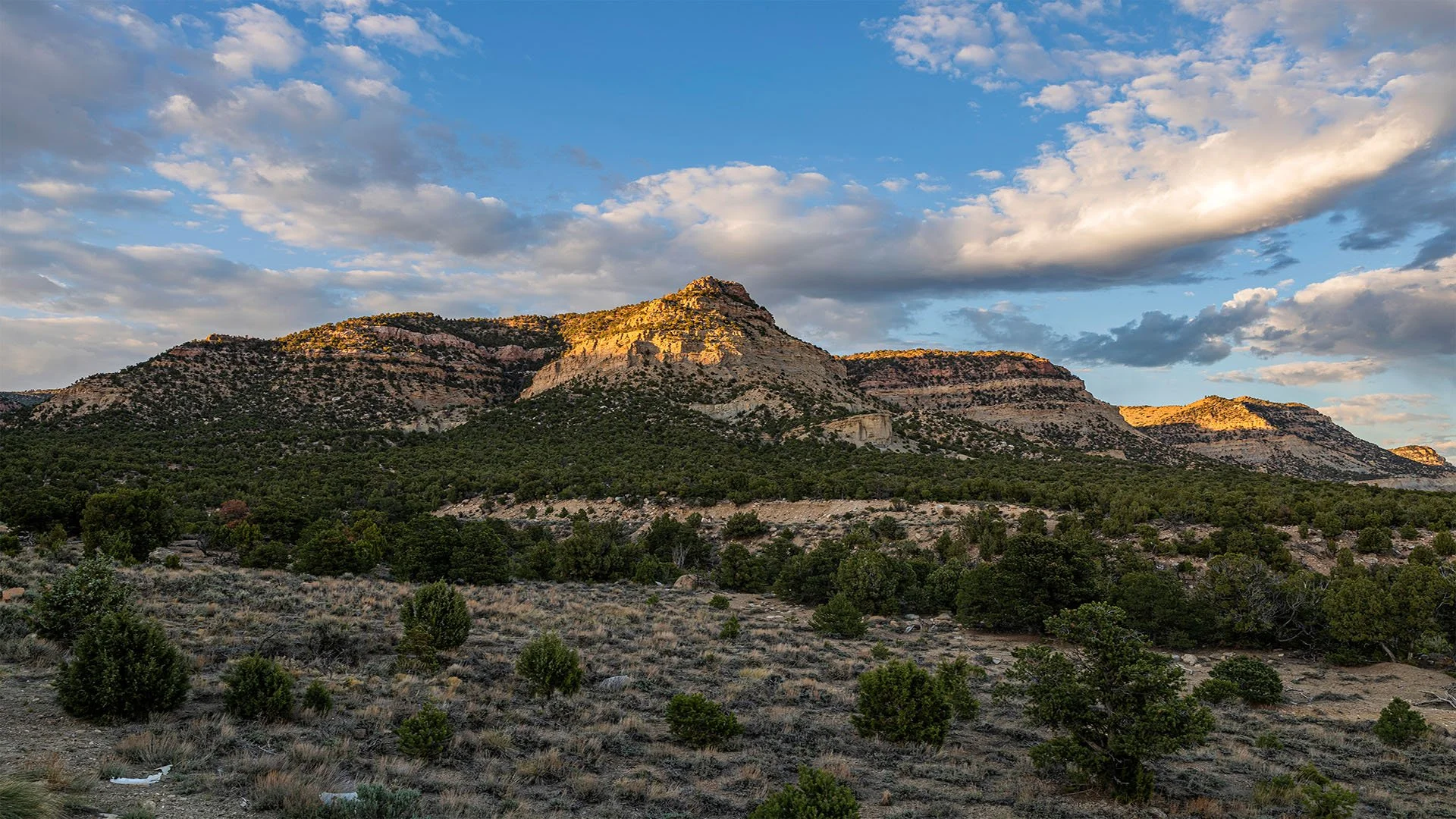 Mountain covered in natural brush