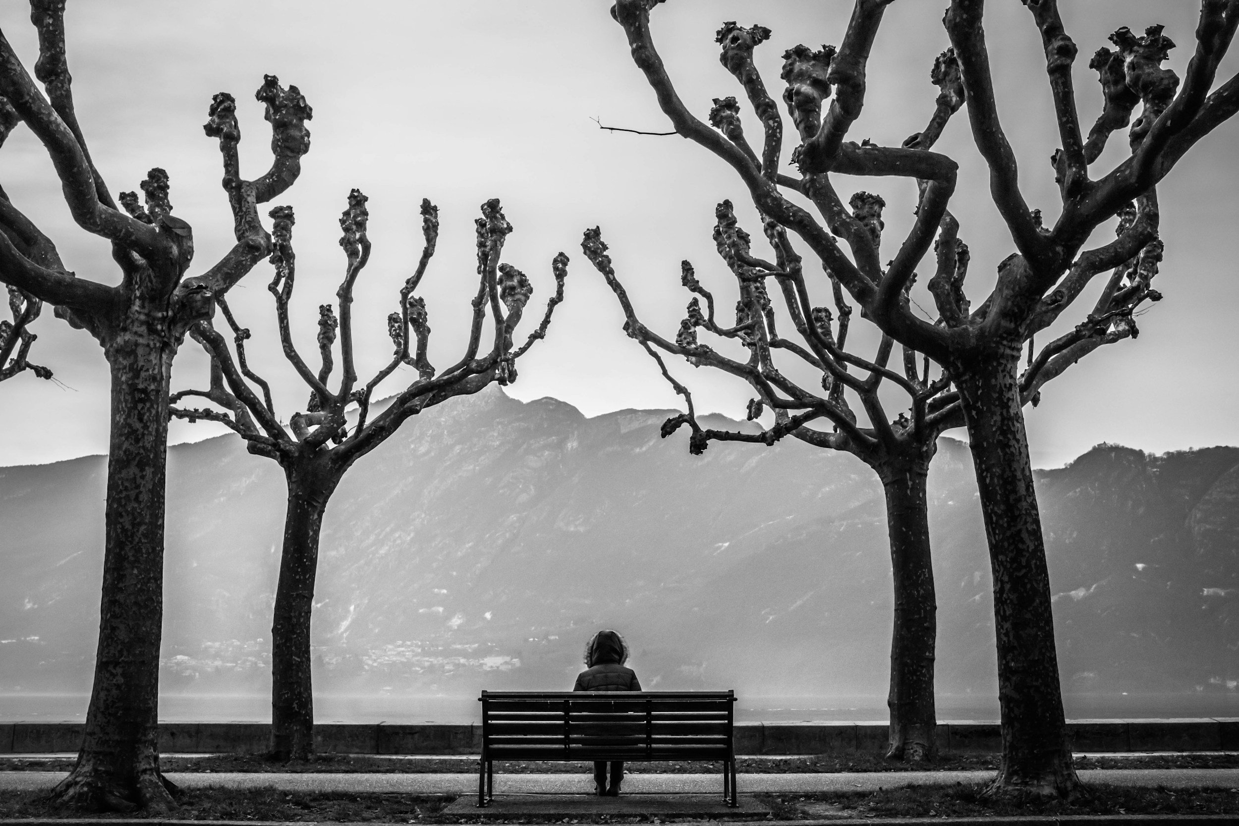 Who Am I Really? The Truth About Who You Are