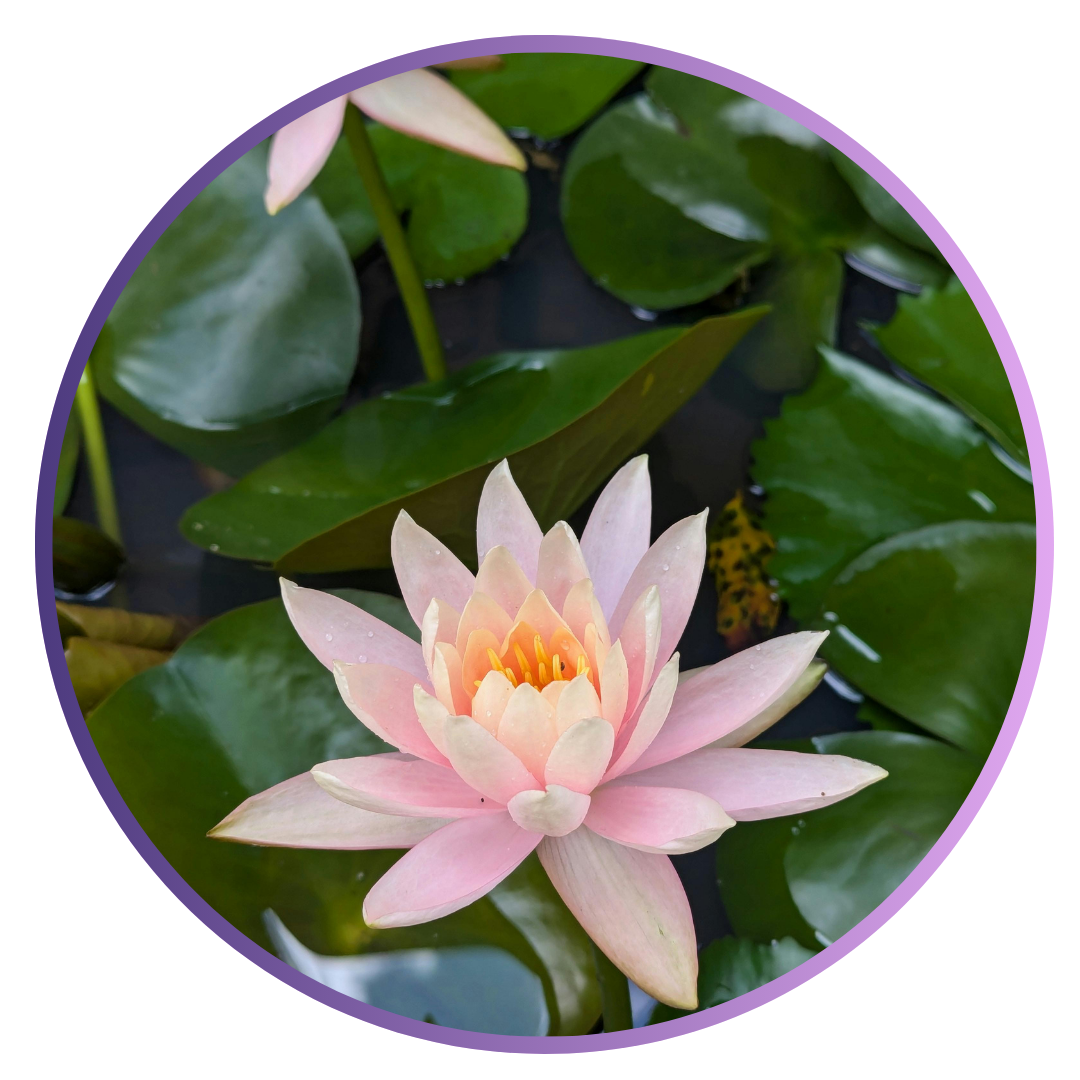 amie-dean-therapy-coaching-sensitive-souls
