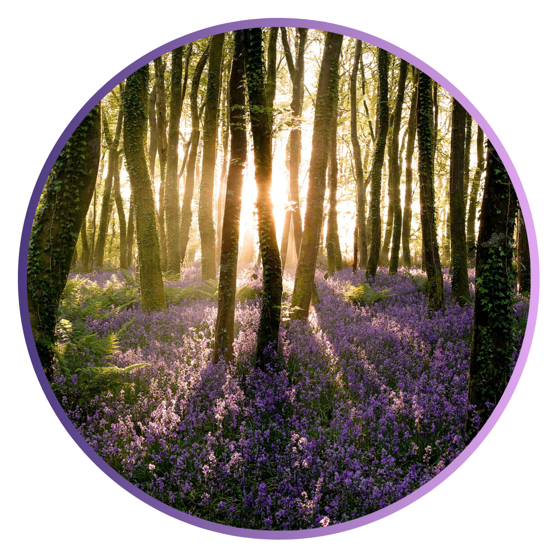 Remote Akashic Records reading for spiritual guidance, healing, and self-discovery