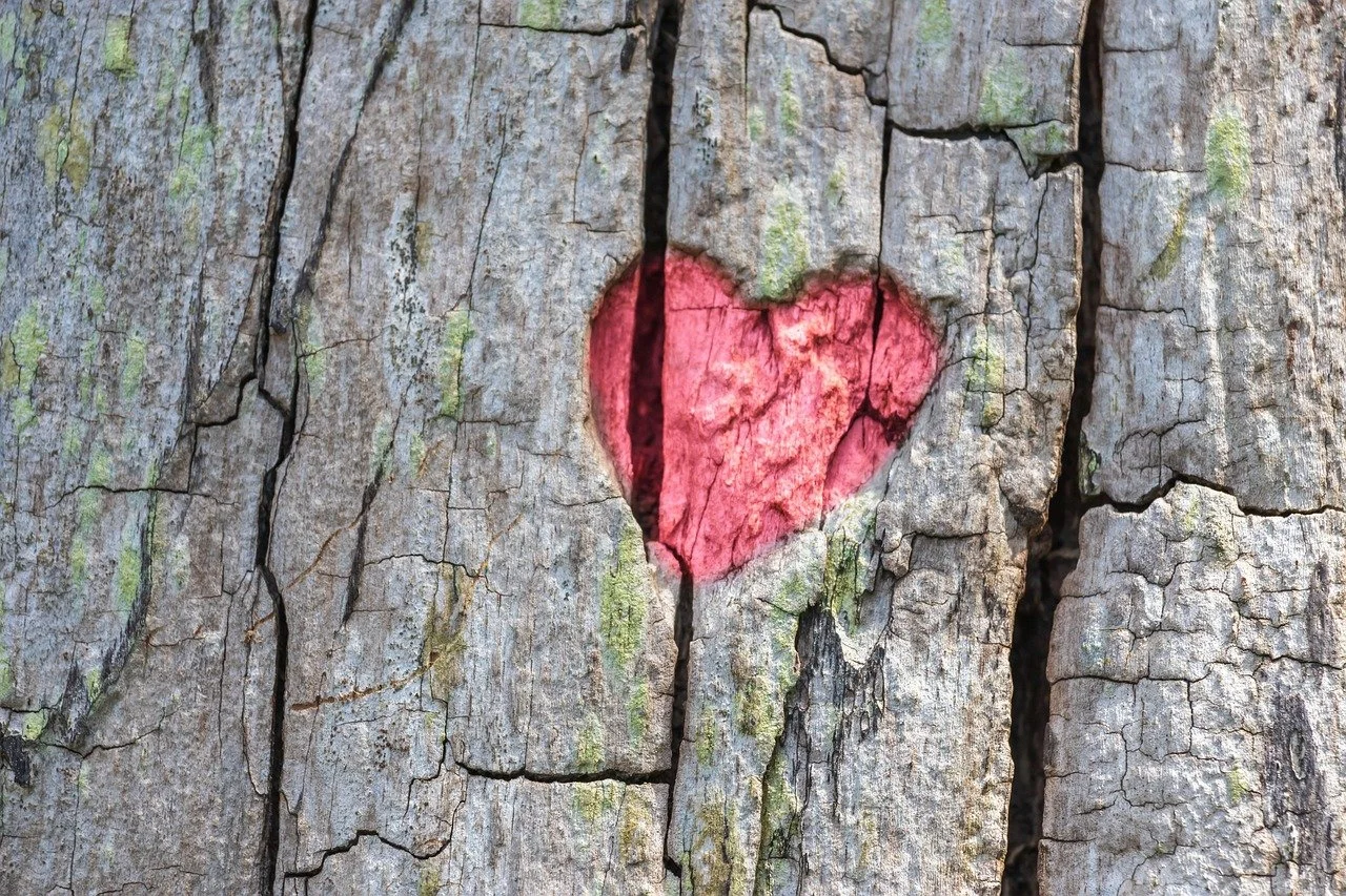 the Transformative Power of Love