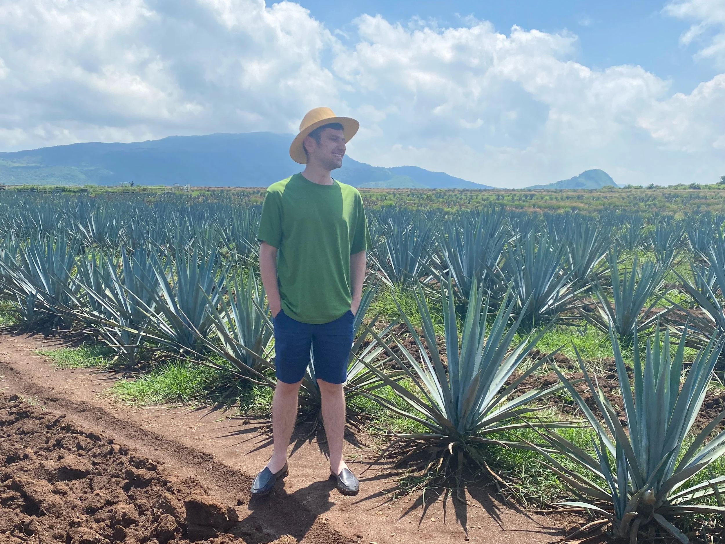 Tequila's Agave Fields