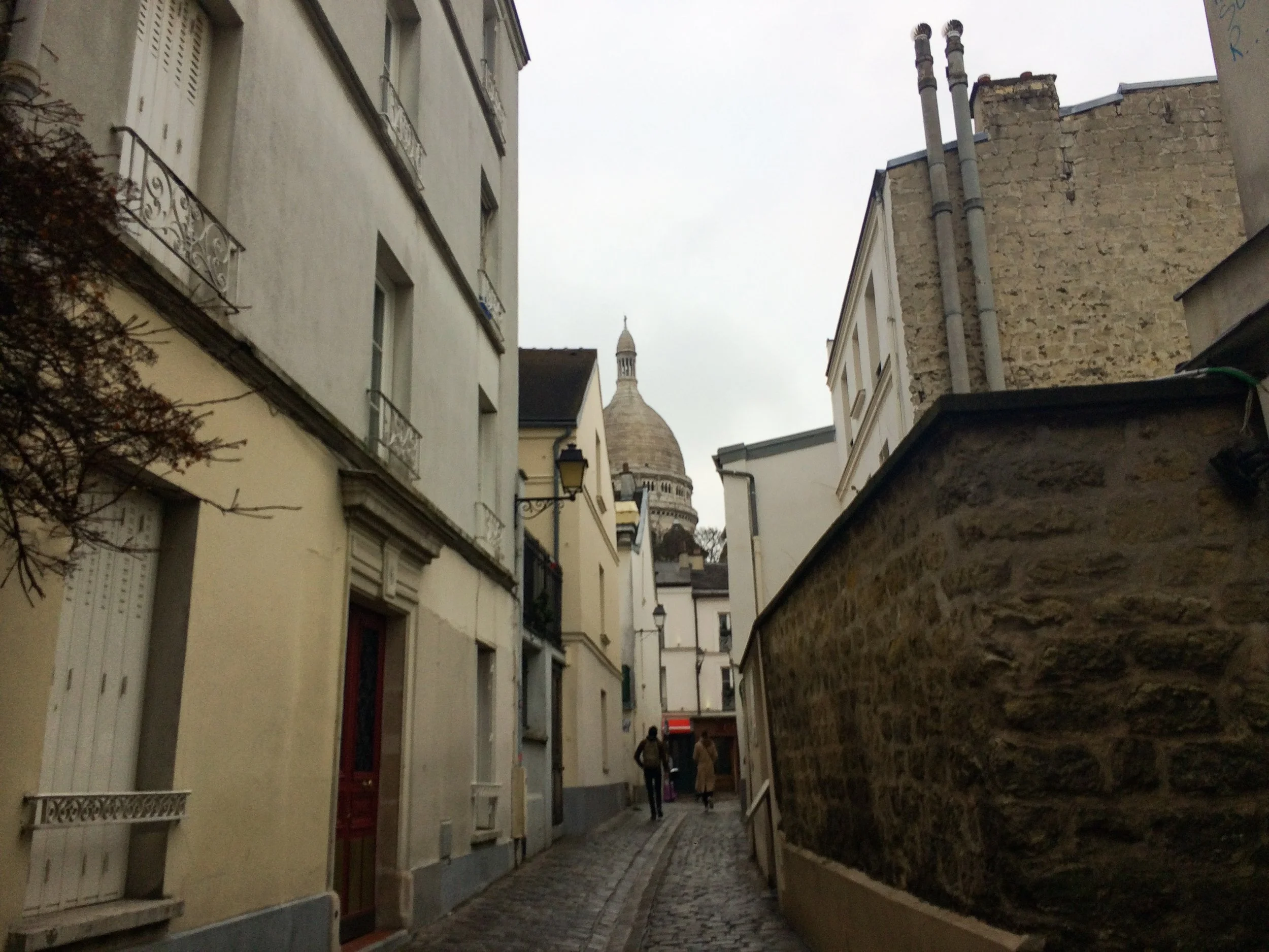 IMG_8800.jpg