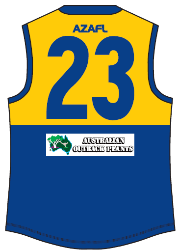 HawksGuernseyBackThumbnailAOP.png