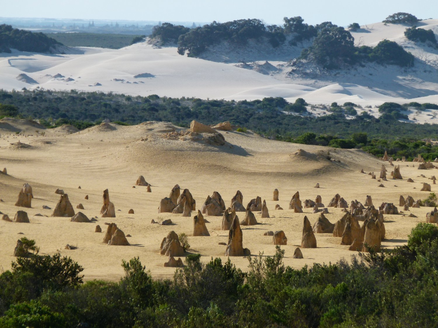 Limestone pillars in the Pinnacles Desert
