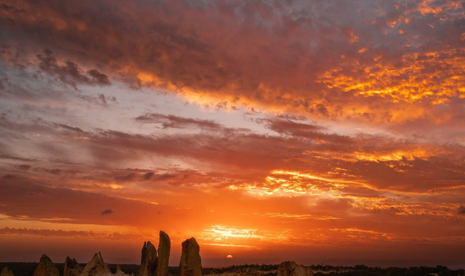 Pinnacles at Sunset vs During the Day: Which Tour Should You Choose?