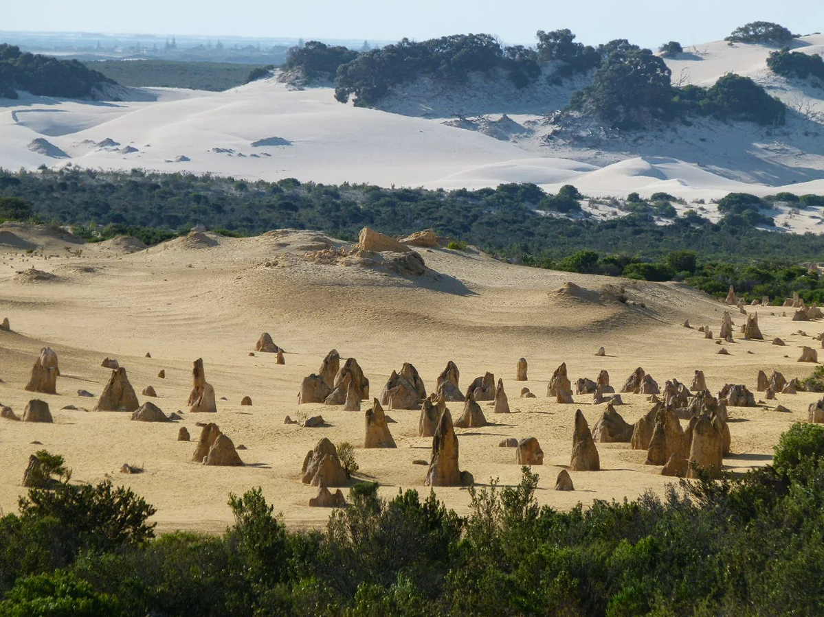 Lancelin Tours.png