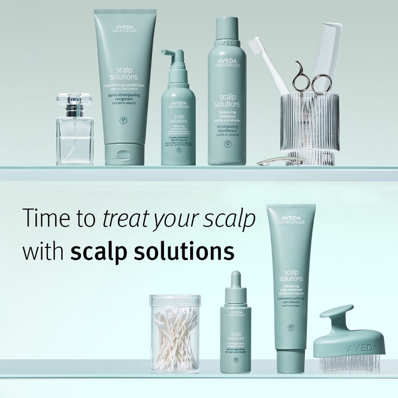 beautiful hair starts with a healthy scalp💆🏽&zwj;♀️ Aveda&rsquo;s Scalp Solutions Pro-Treatment uses botanical scalp science to transform your hair at the source. Boost hydration, fight signs of premature scalp aging and achieve visibly shinier and