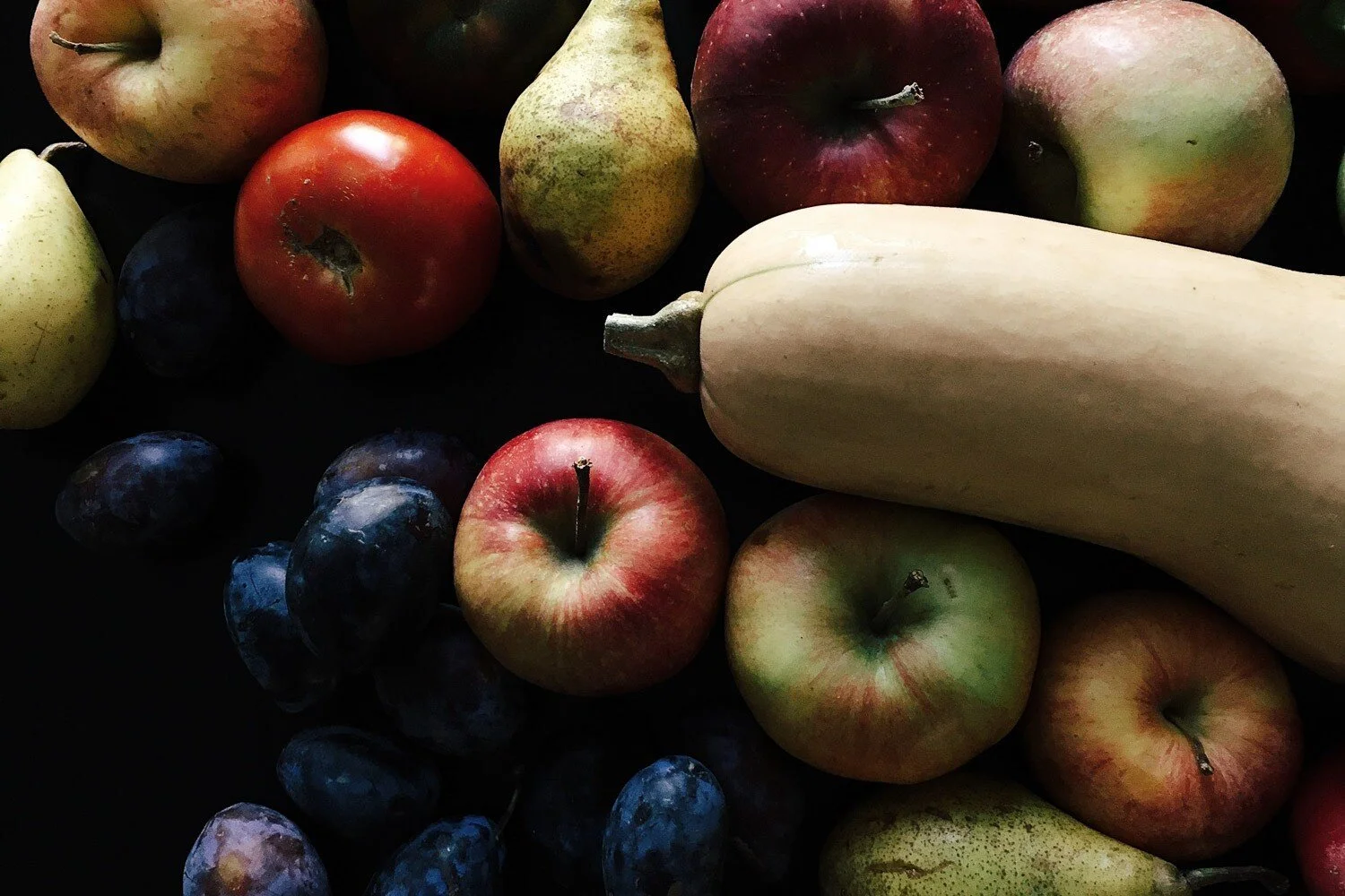 Beginner's Guide to a Low Oxalate and Paleo Diet