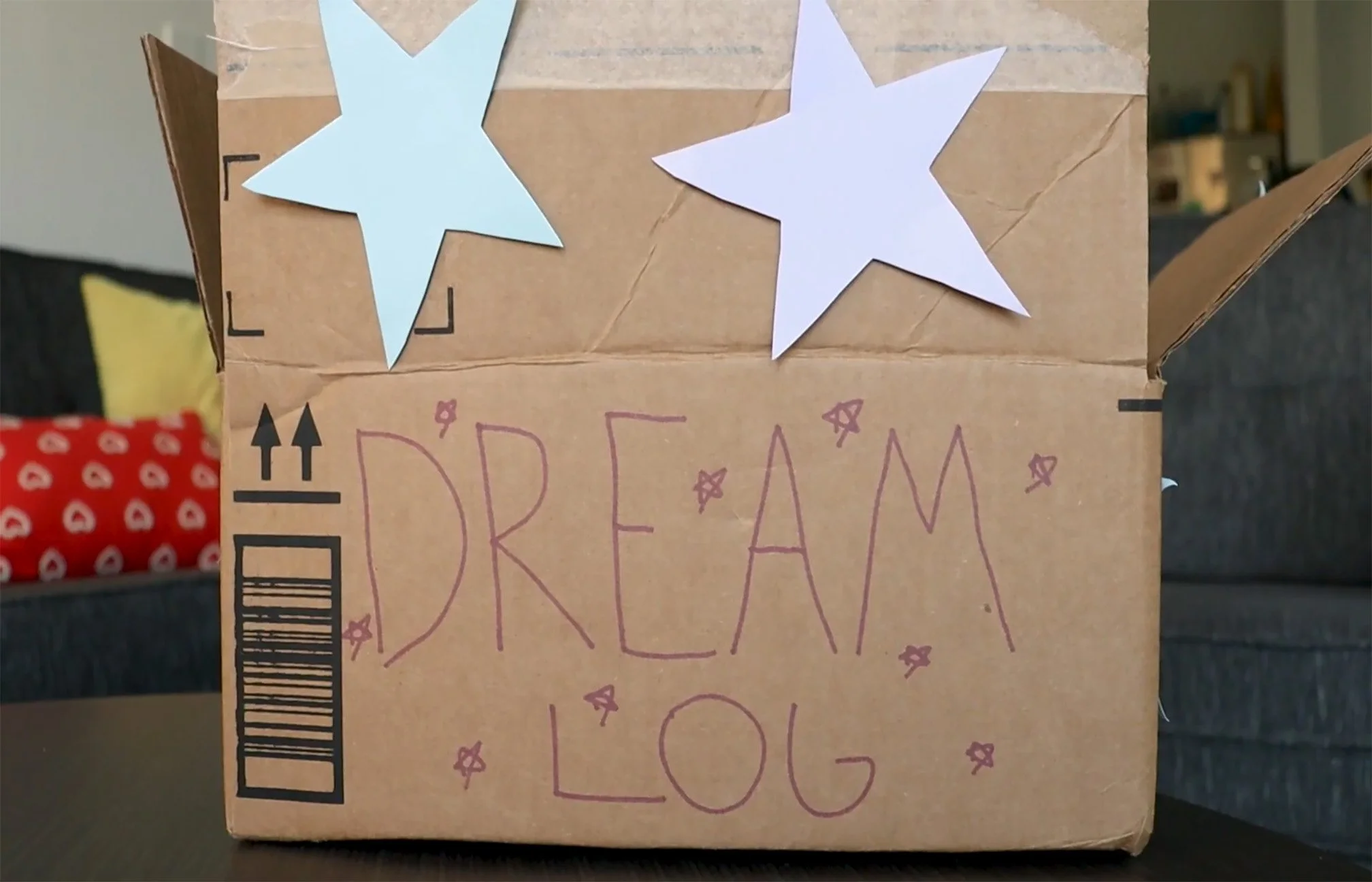 Dream Log: Videographer, Director, Producer