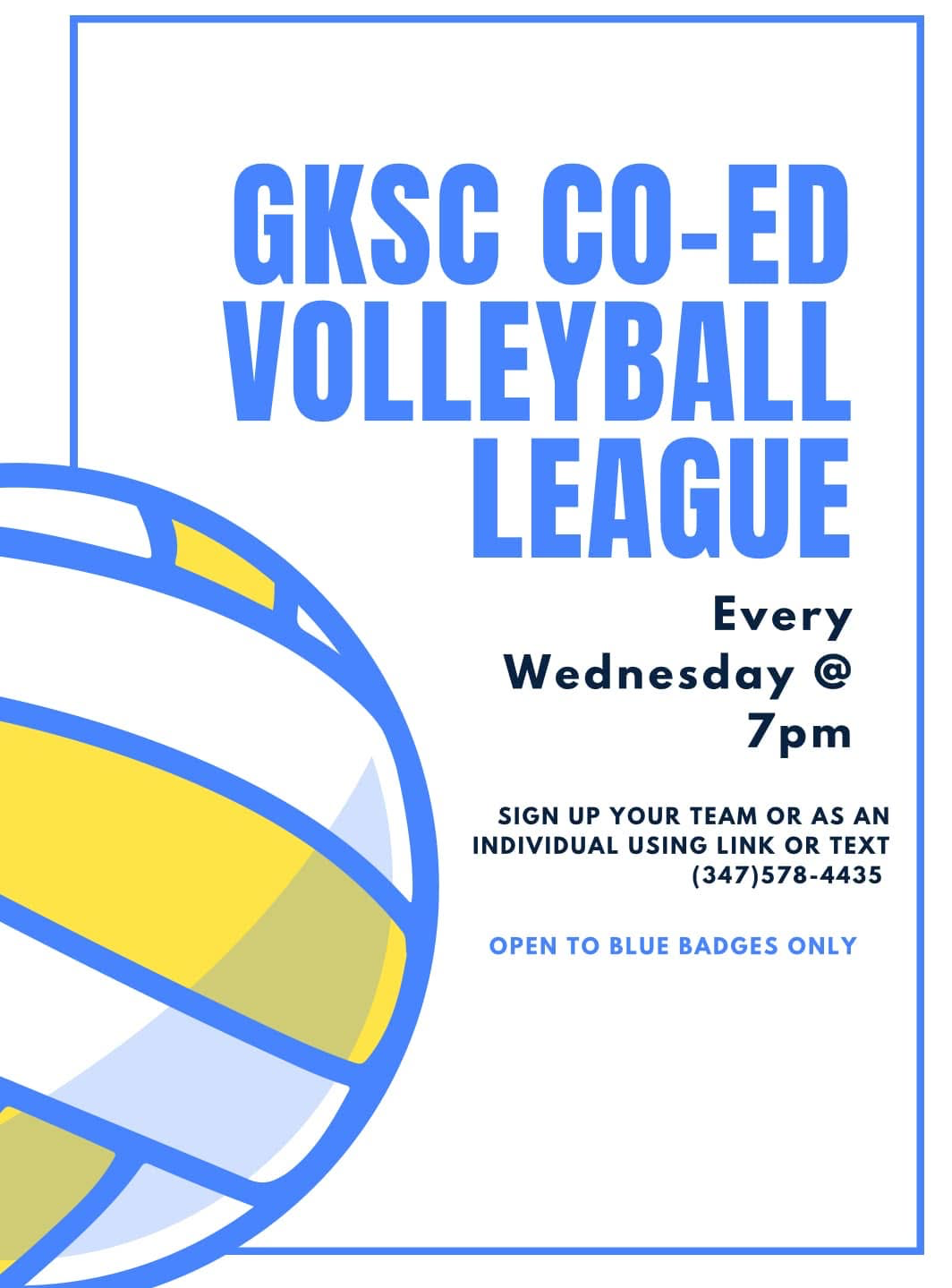 Co-ed Volleyball League