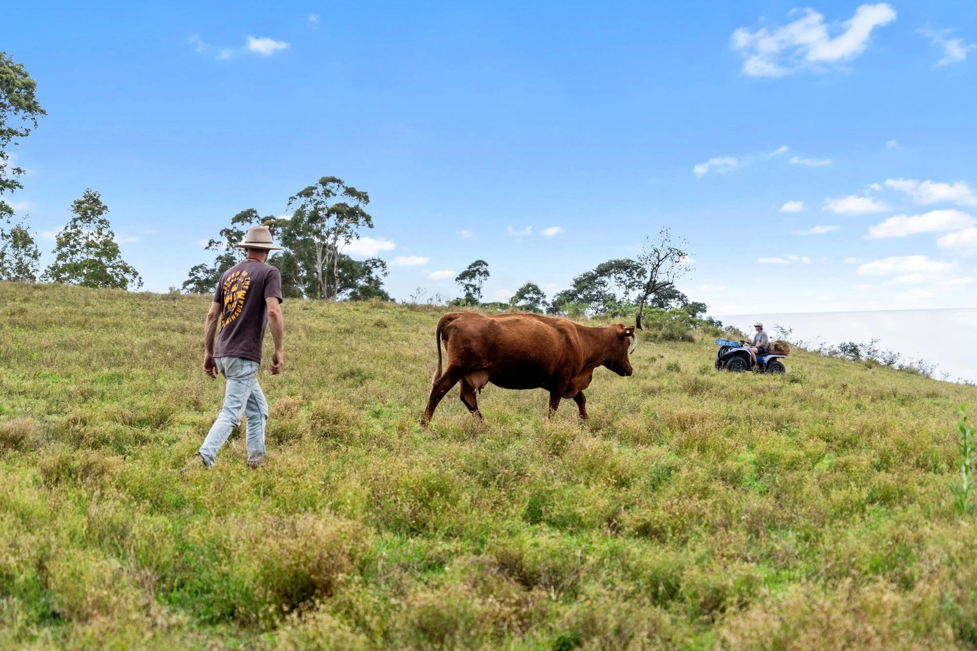 Limeburners-Ridge-Pastoral_Metropolitan-Maitland_Kurri-Kurri-Hotel_Paddock-to-Plate_Nick-and-Elliot-Working-on-the-Farm.jpg