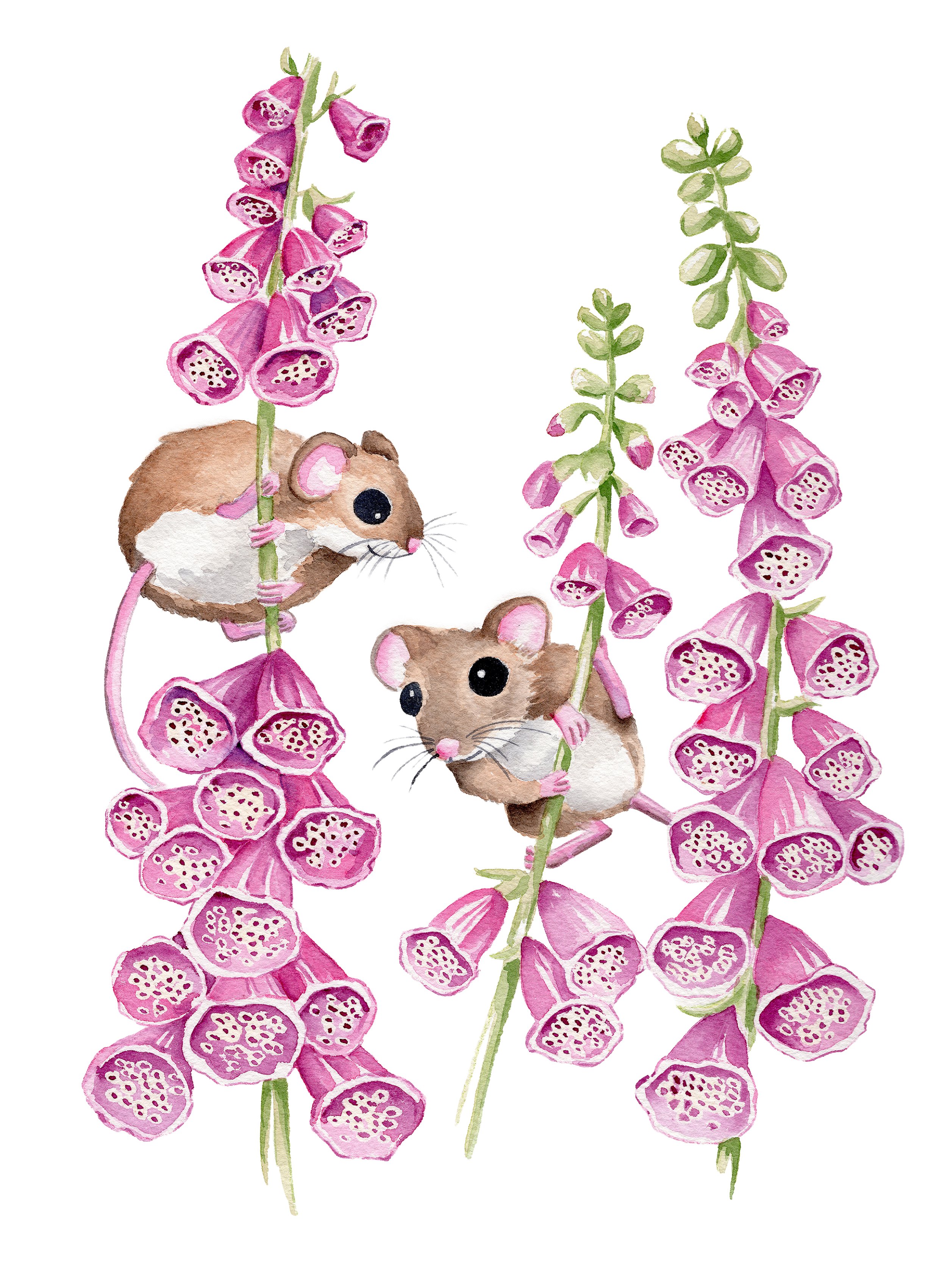 mice_foxgloves_flowers.jpg