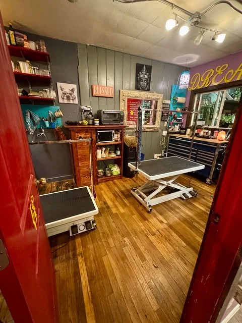 View of a tattoo studio room with equipment, shelves, and decor, including a raised tattoo bed, a smaller tattoo station, and artwork on the walls.