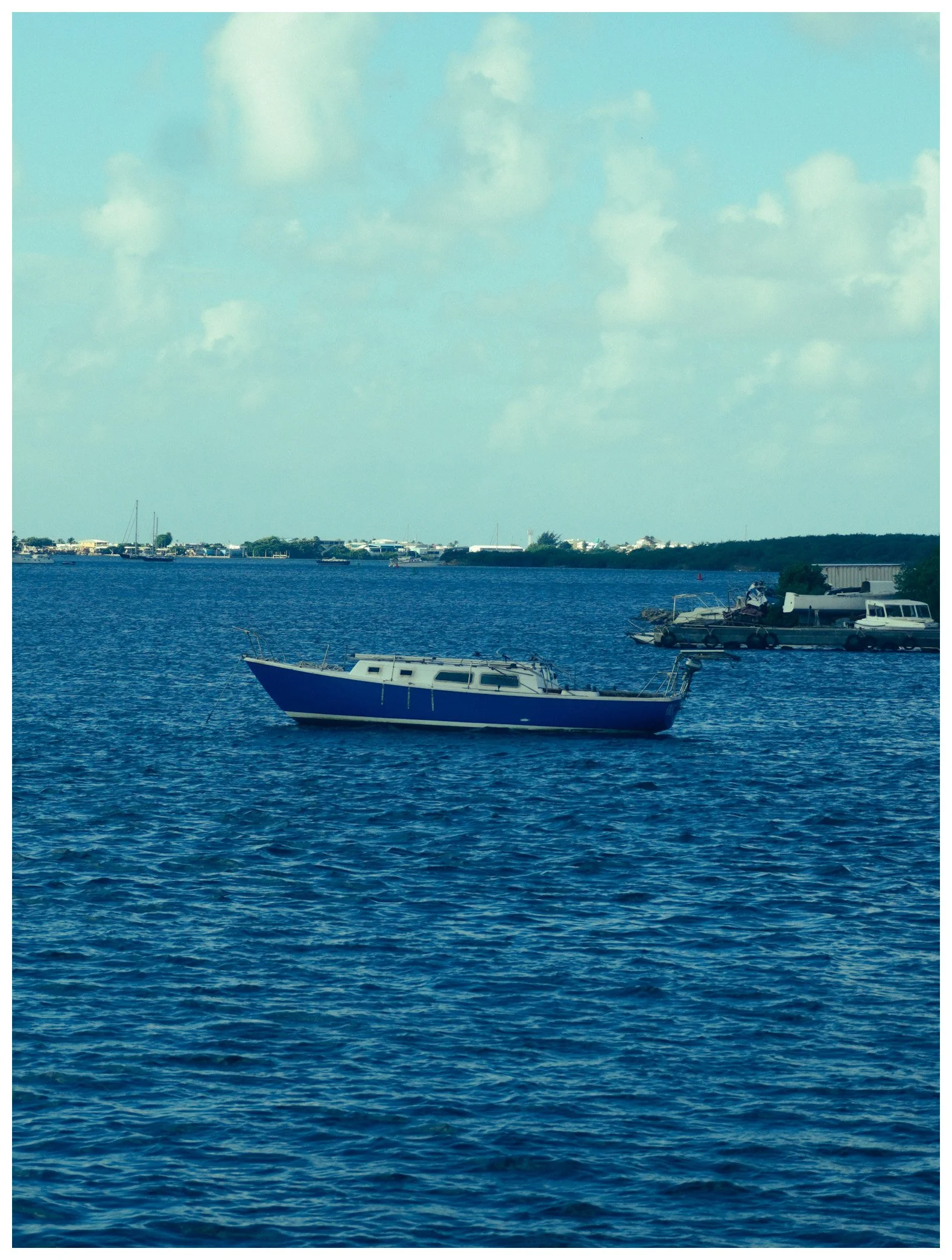 IMG_9240.jpeg
