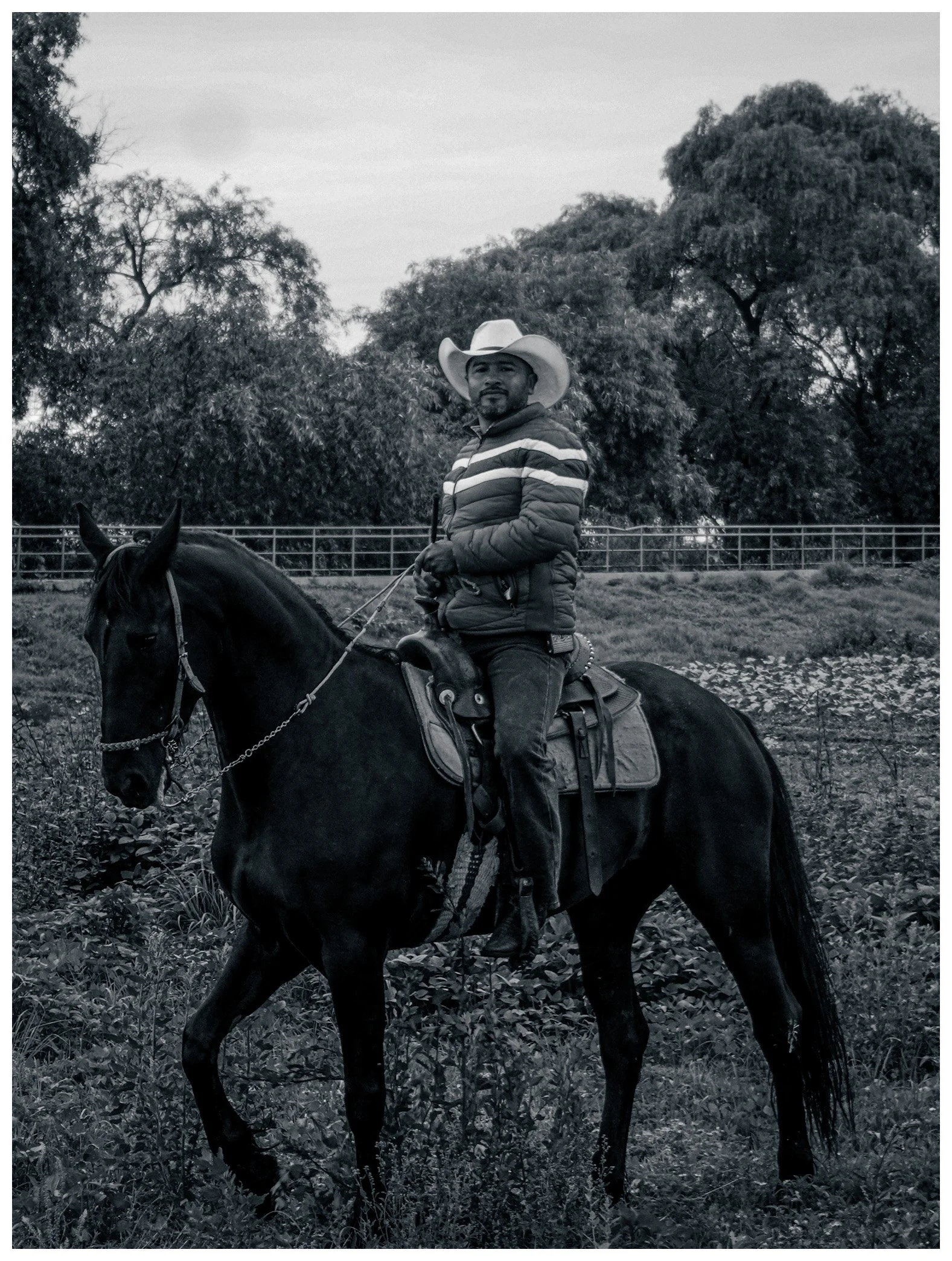 Vaquero in Mexico City