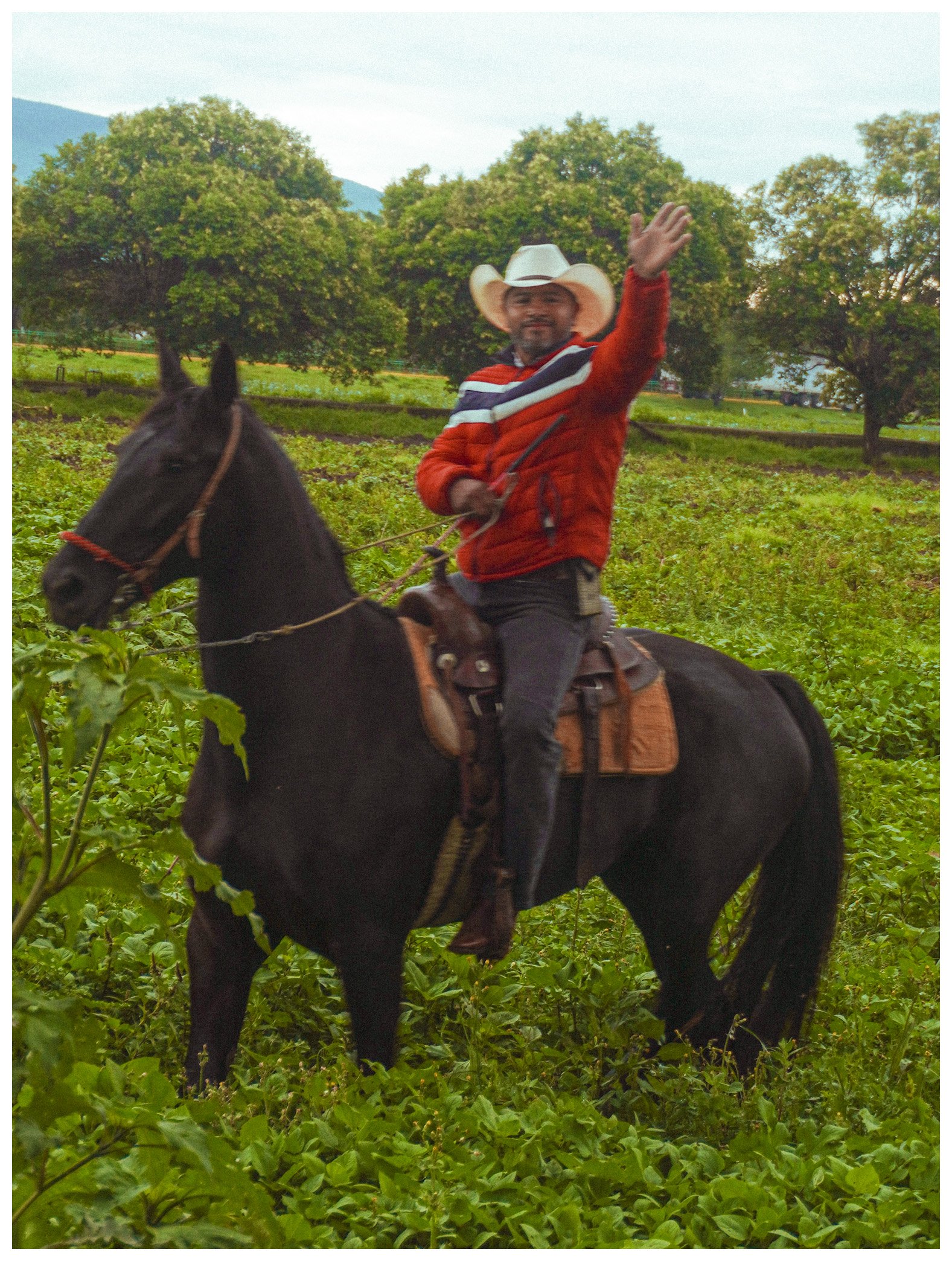 Caught an authentic Mexican cowboy on his farm