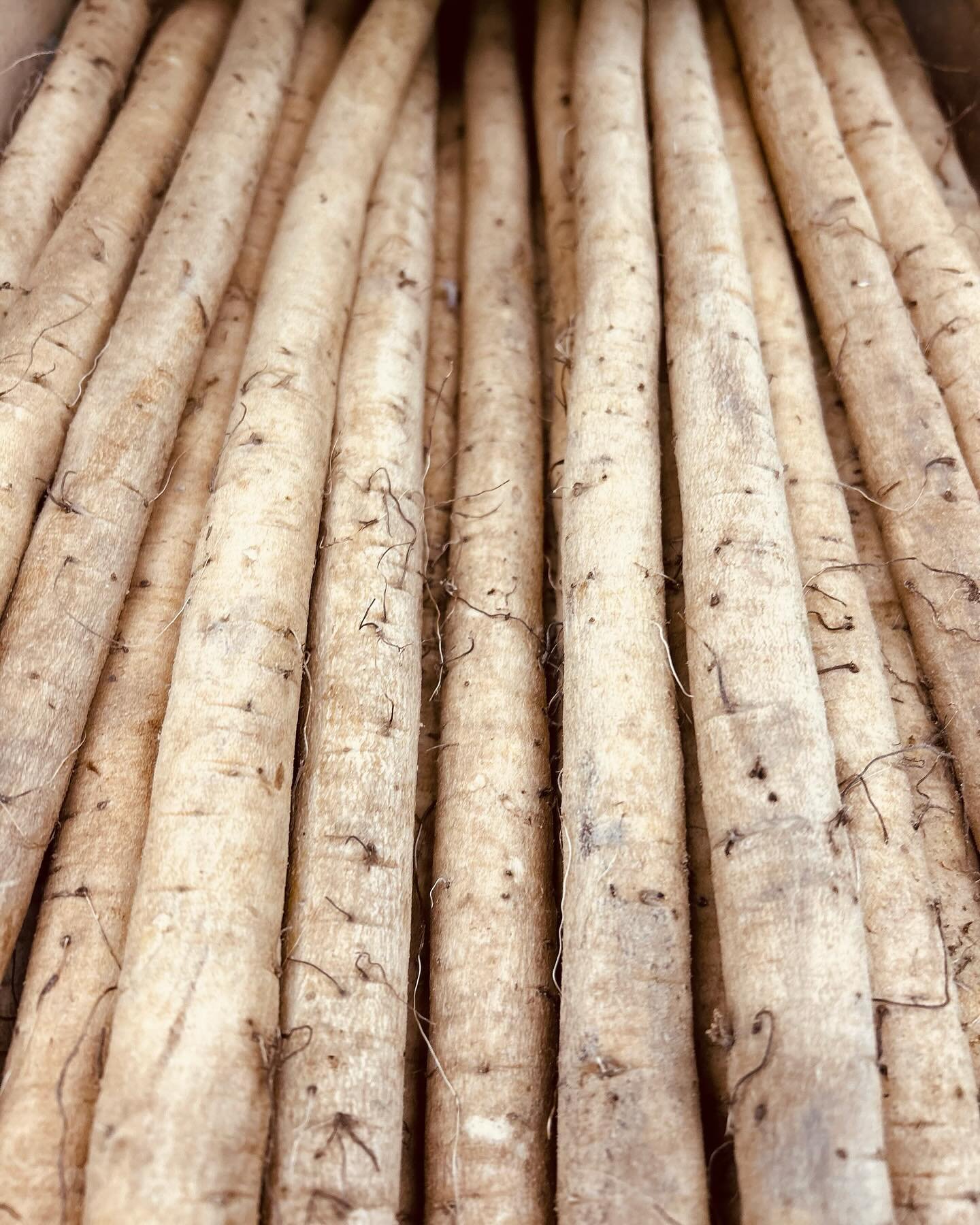 牛蒡-醃漬
和牛-脆炸
黃椒-製醬
海膽-刺身
櫻桃-酢豚

新的食材我很喜歡，
但是買來很貴，
所以請你們務必要喜歡.

We are thrilled with all the new ingredients on this season&lsquo;s menu and hope you all enjoy them as much as I do.
