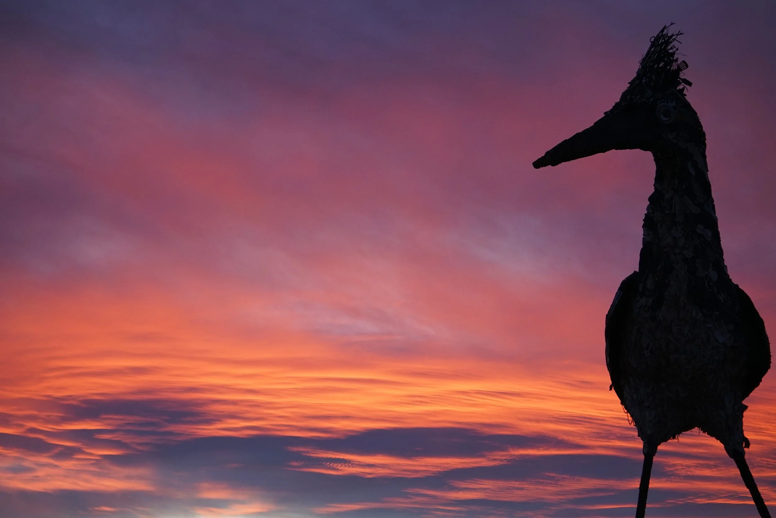 New Mexico Afterglow 007