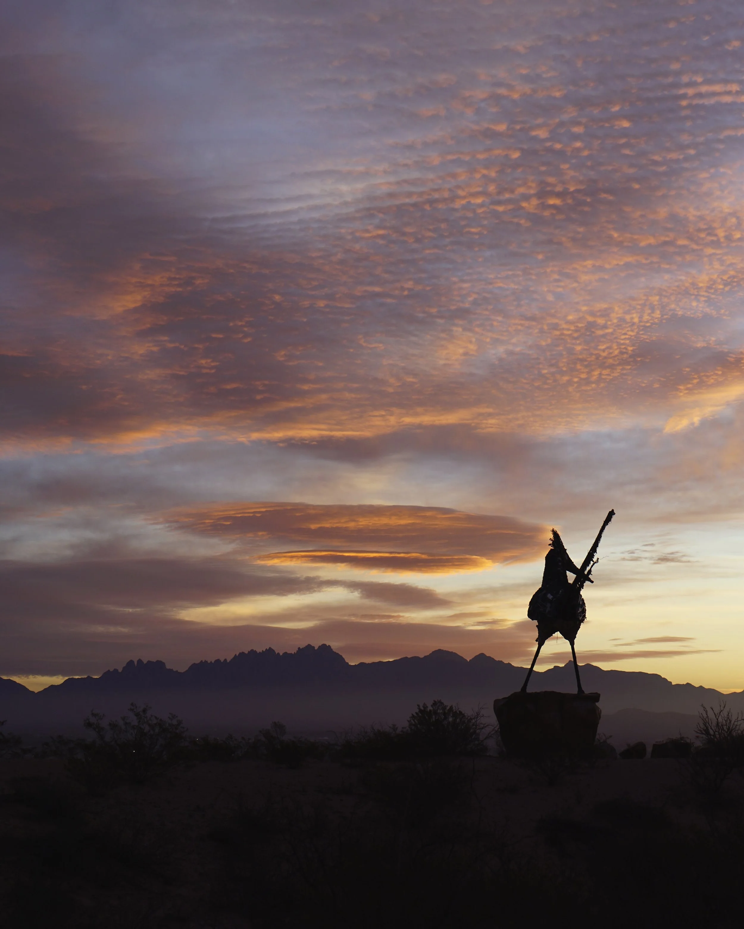 Morning Painted Gold 003