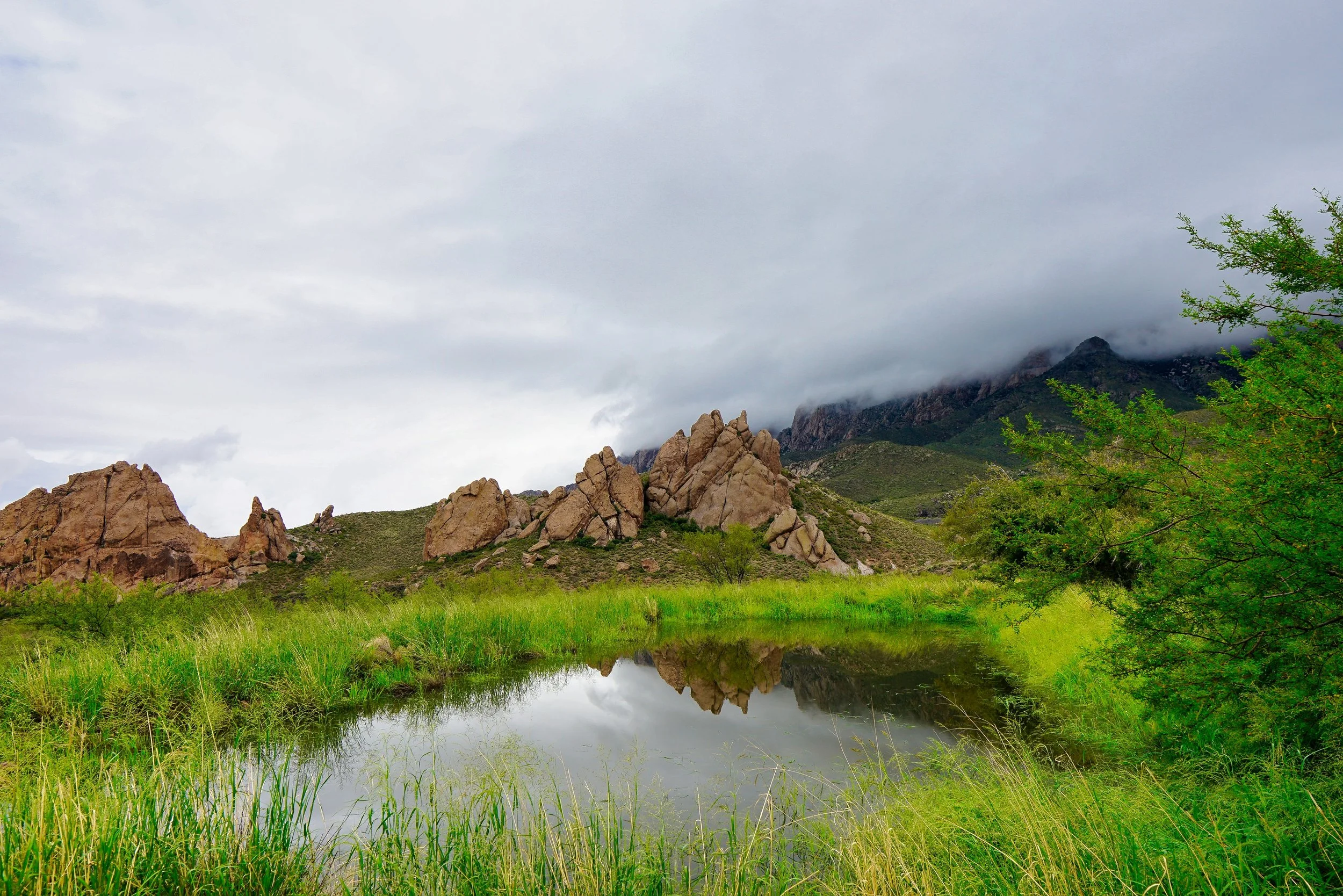Land of Enchantment 014