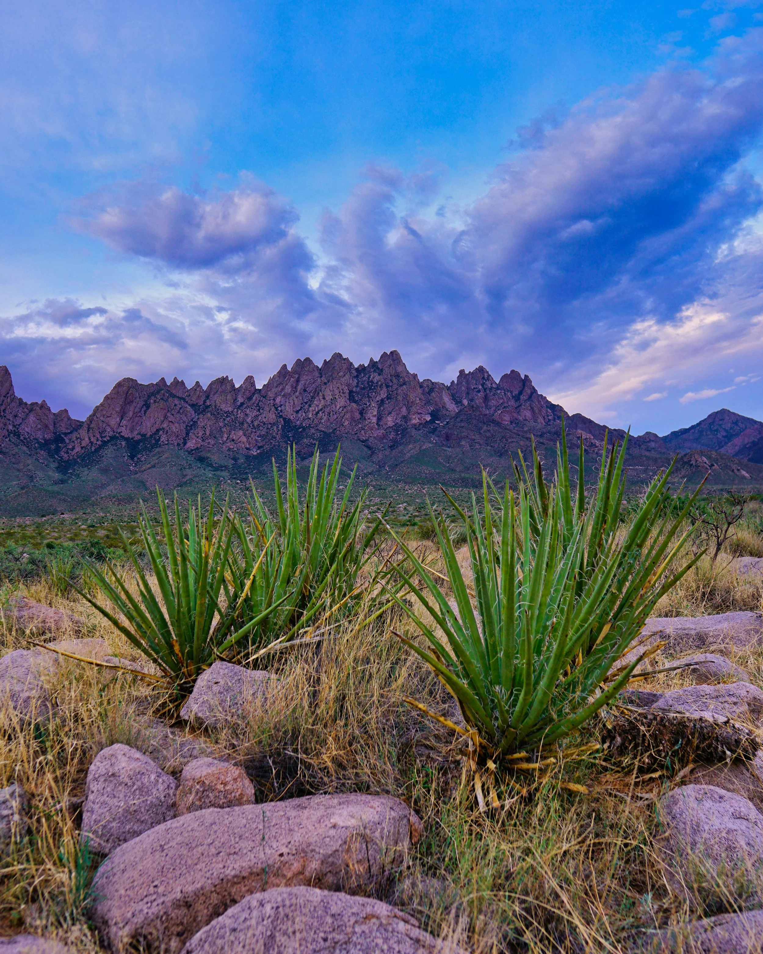 Land of Enchantment 003