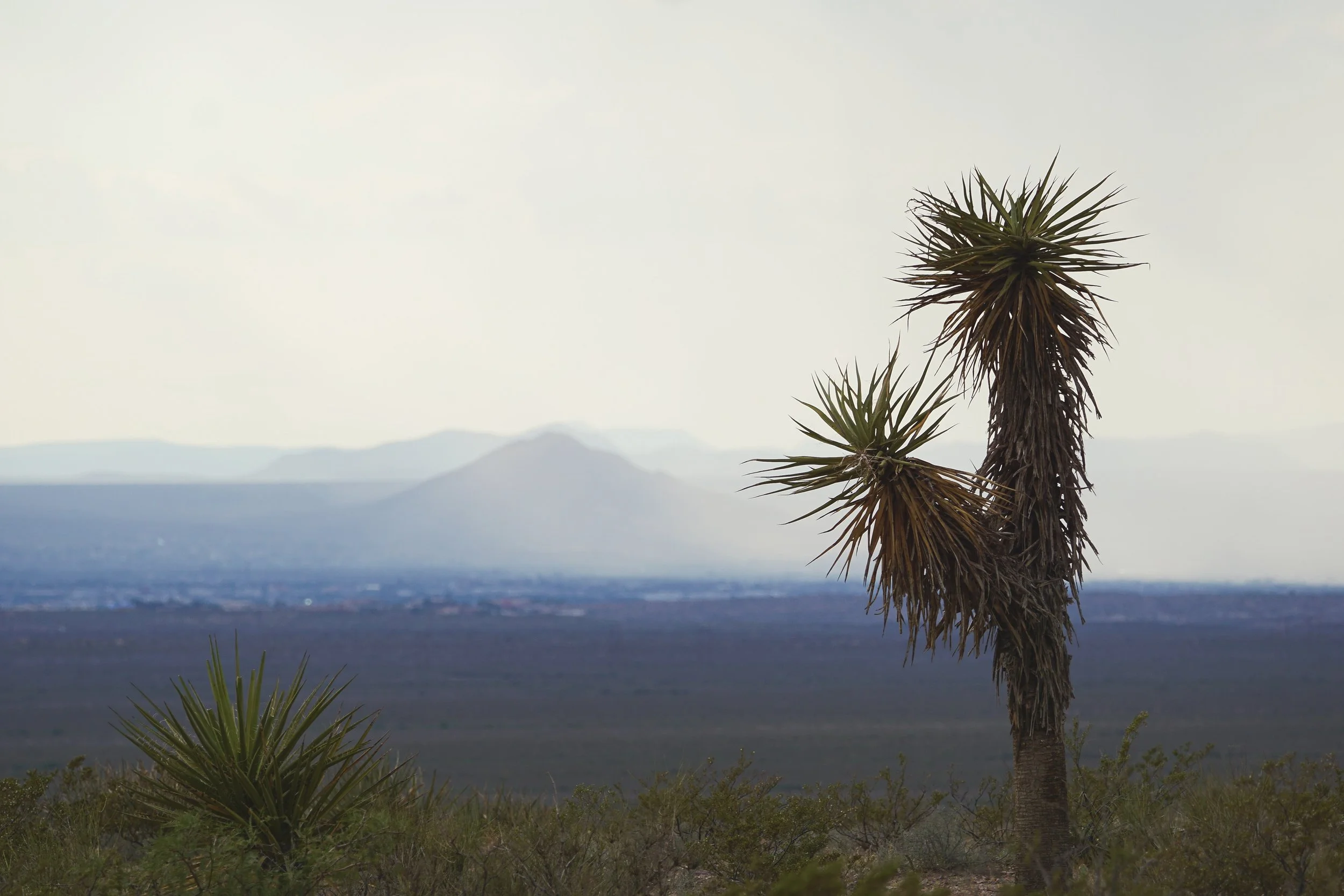 Land of Enchantment 006