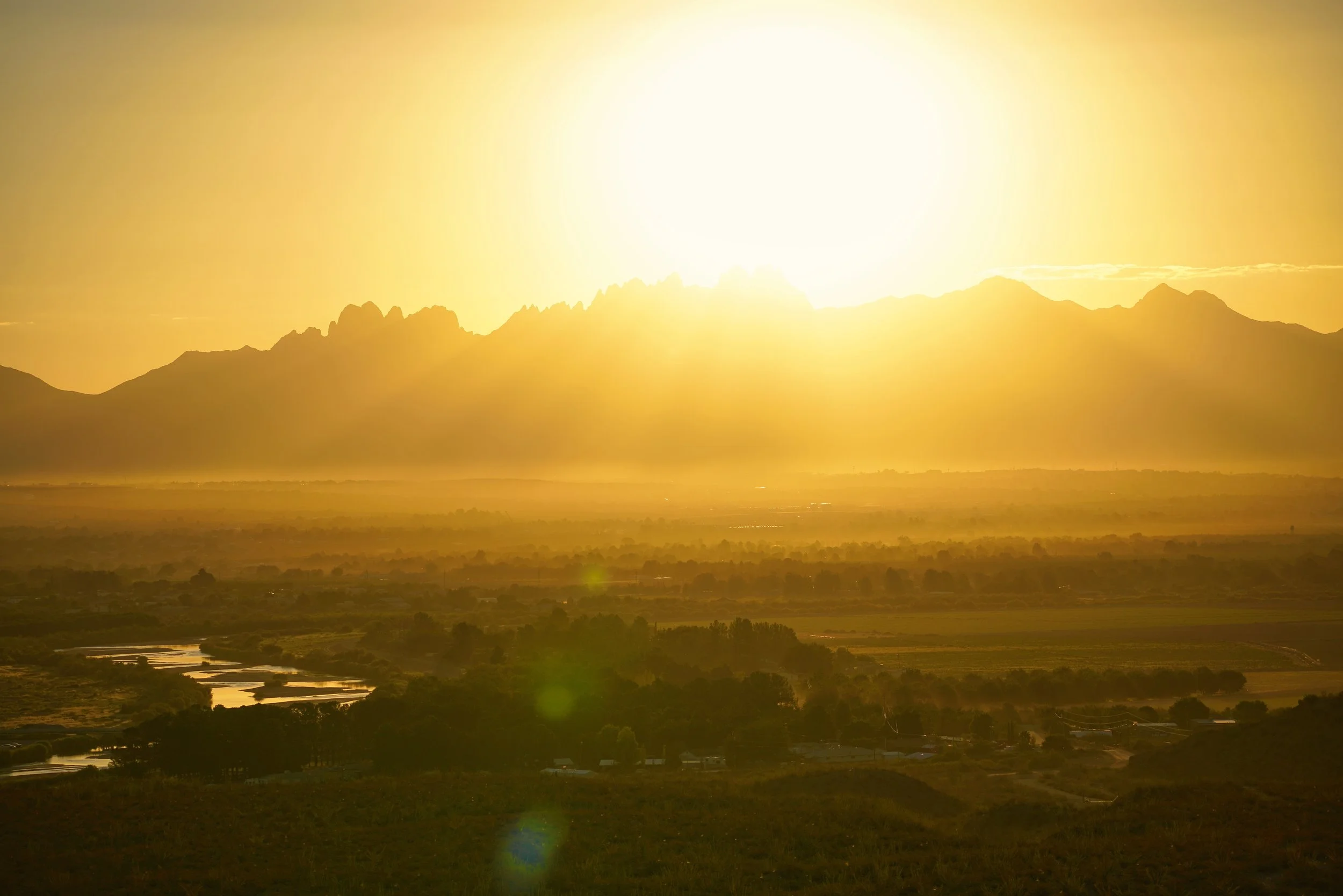 Morning Painted Gold