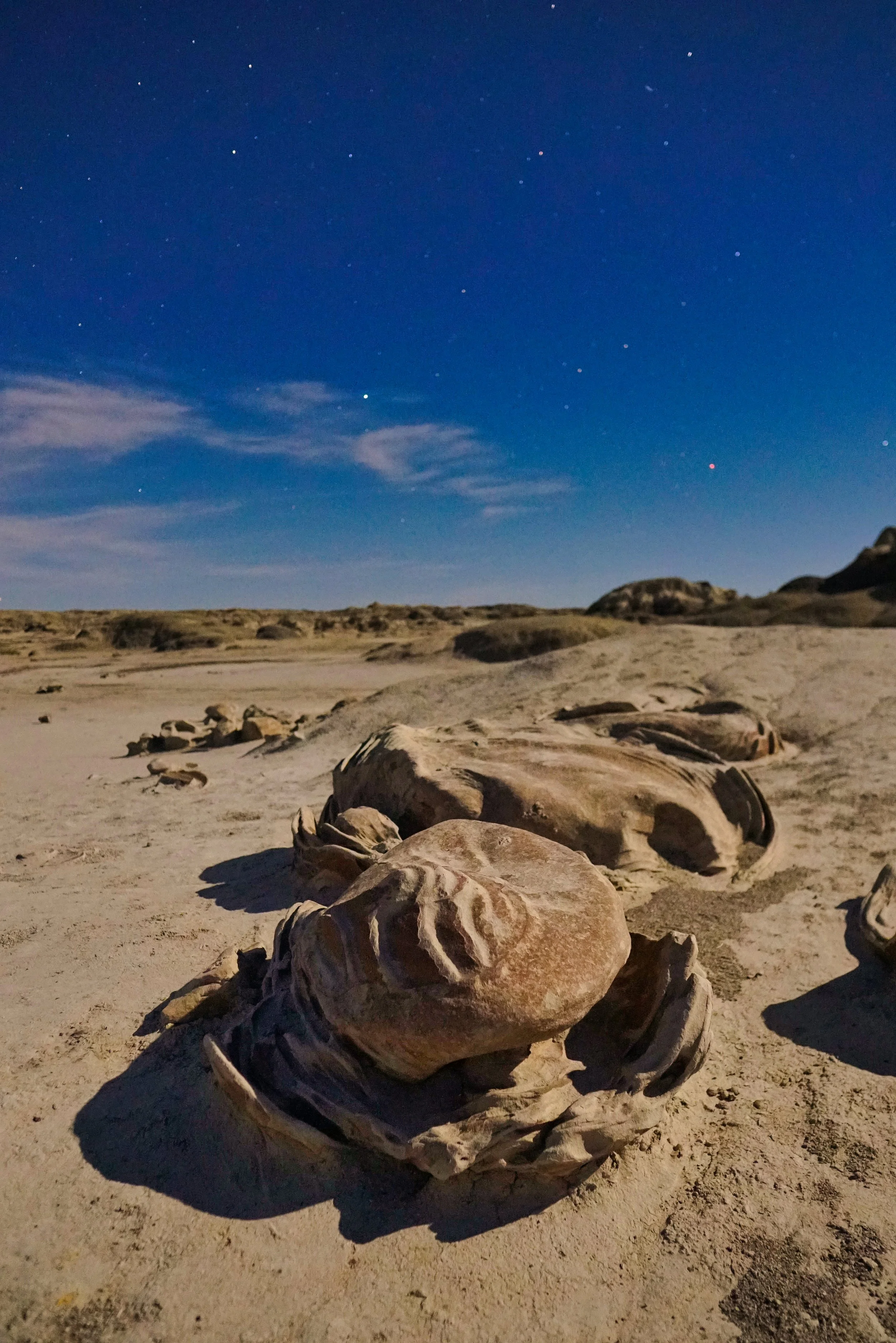 New Mexico Nightfall 005