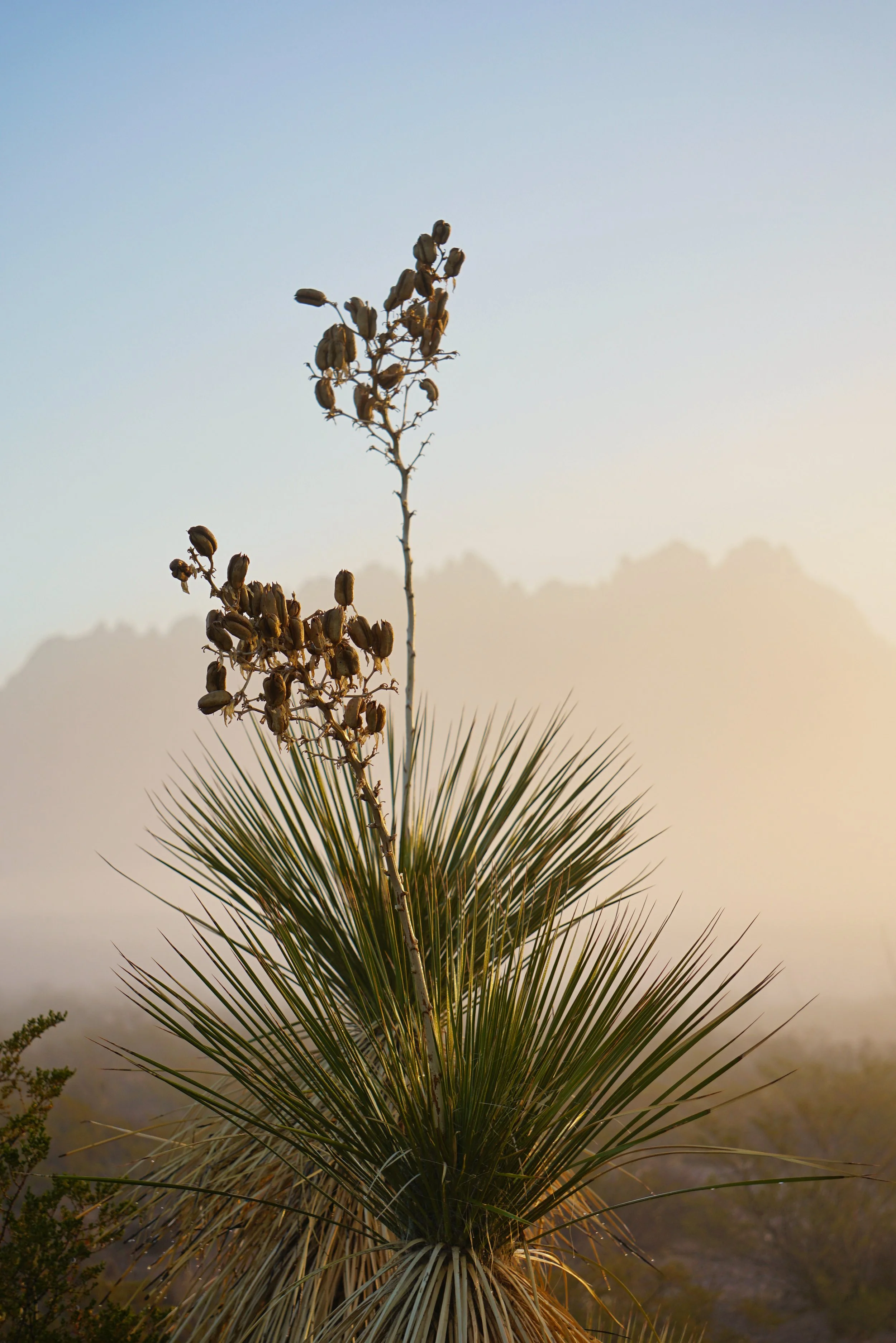 Land of Enchantment 009